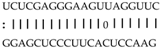 Genes 12 00567 i005 Genes 12 00567 i005