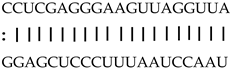 Genes 12 00567 i006 Genes 12 00567 i006
