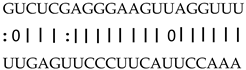 Genes 12 00567 i009 Genes 12 00567 i009