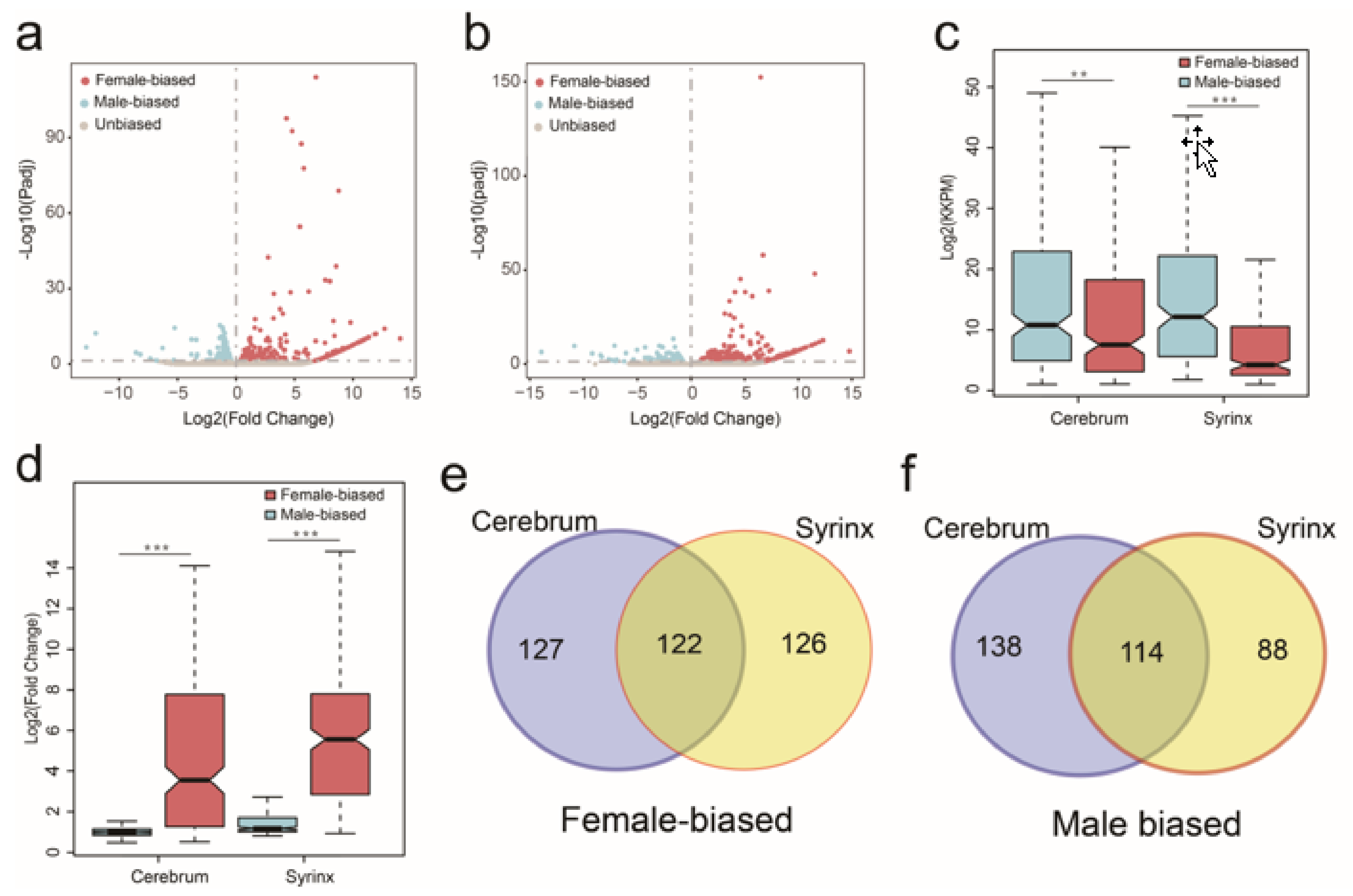 Genes Free Full Text Sex Biased Gene Expression And Evolution In The Cerebrum And Syrinx Of Chinese Hwamei Garrulax Canorus Html