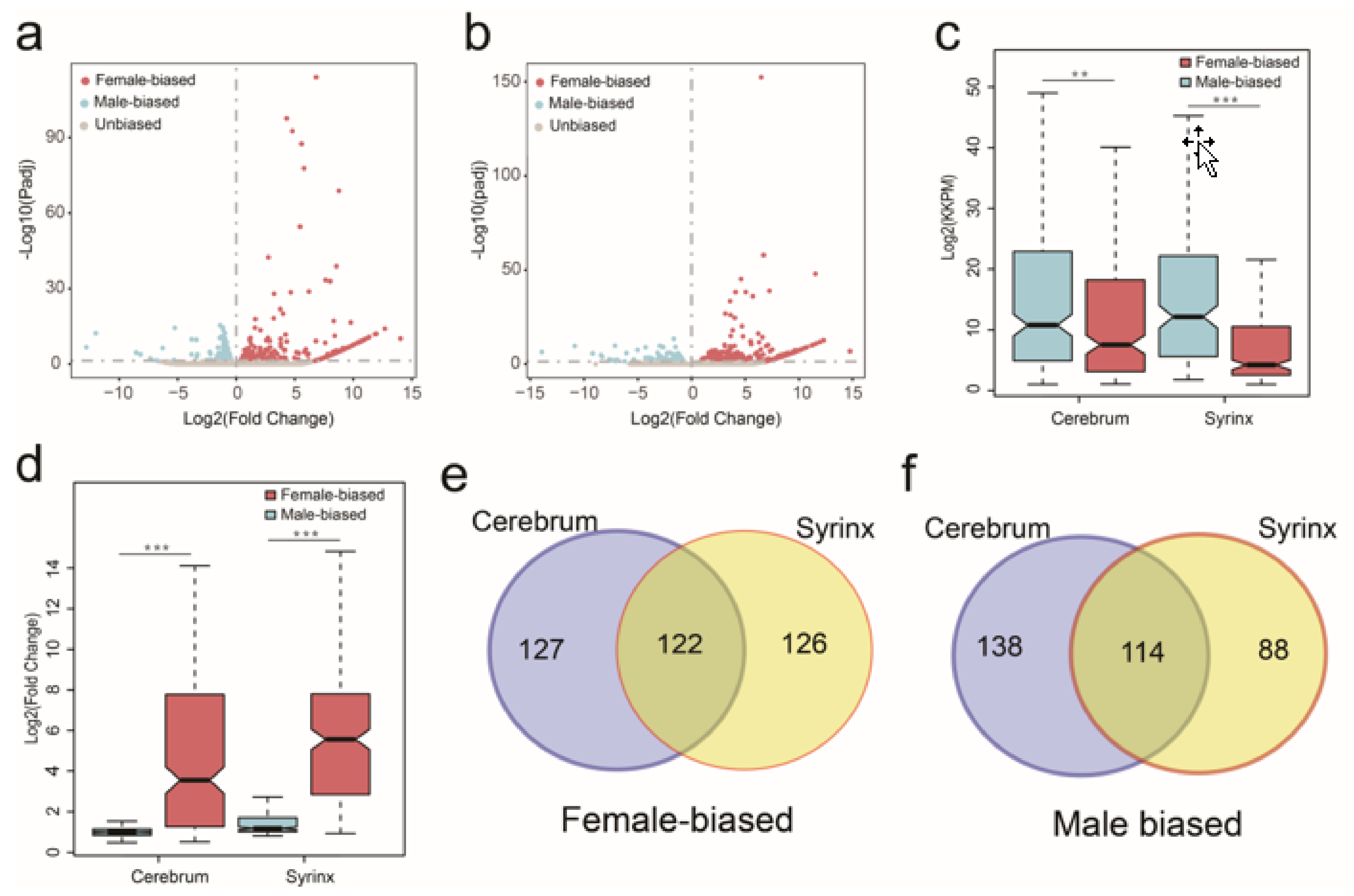 Genes Free Full-Text Sex-Biased Gene Expression and Evolution in the Cerebrum and Syrinx of Chinese Hwamei (Garrulax canorus)