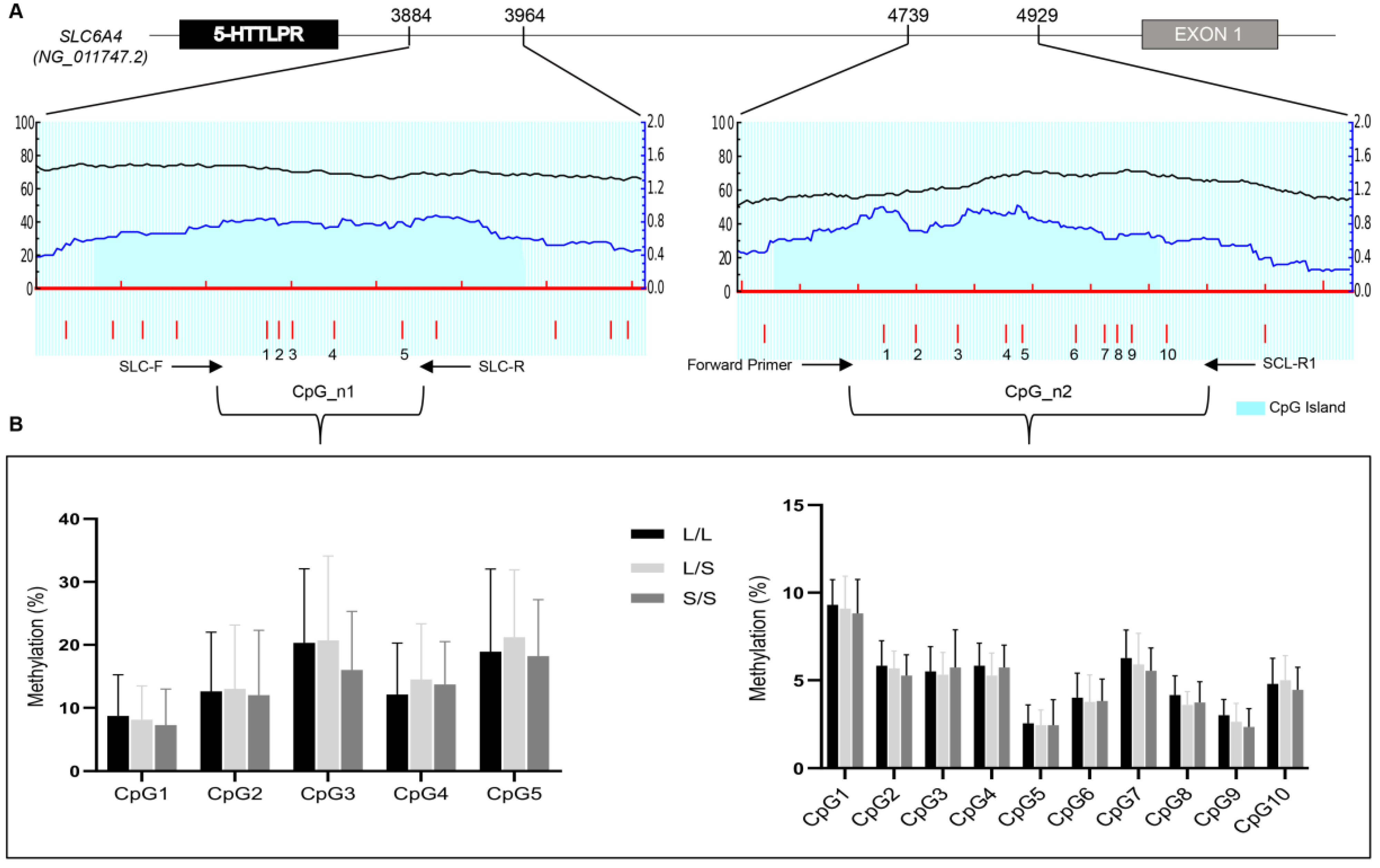 Genes 12 00579 g001 Genes 12 00579 g001