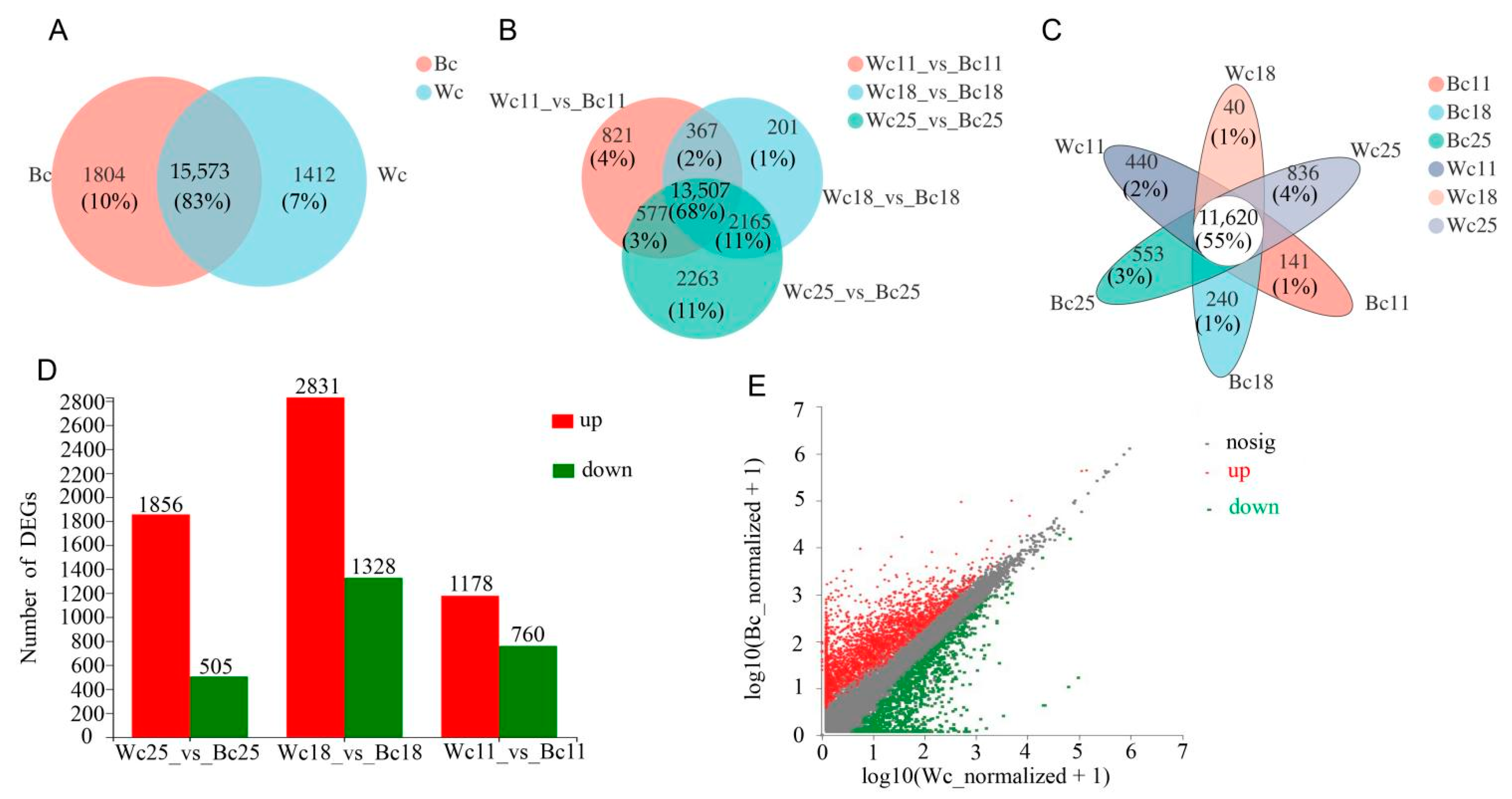 Genes 12 00583 g005