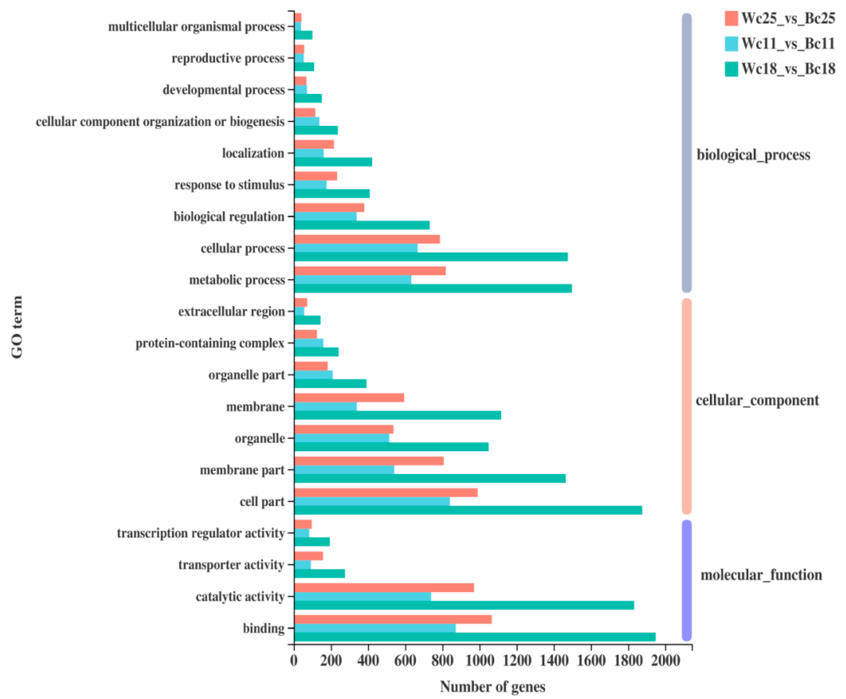 Genes 12 00583 g006