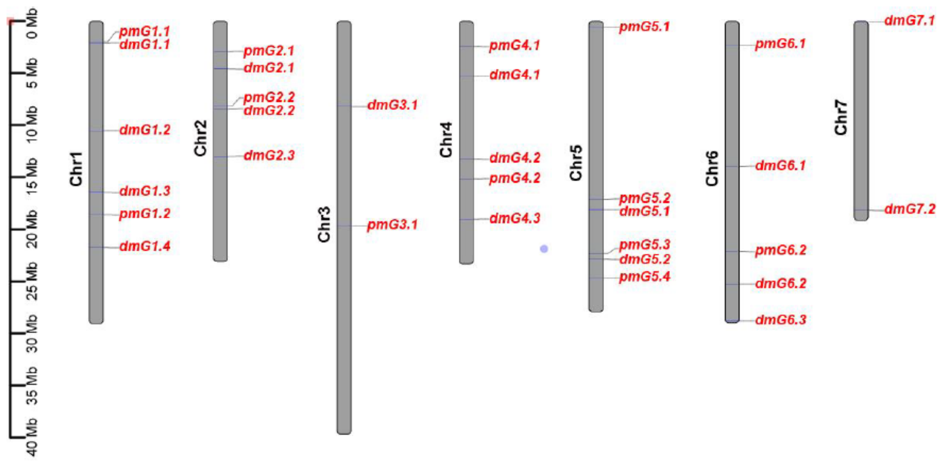 Genes 12 00584 g011