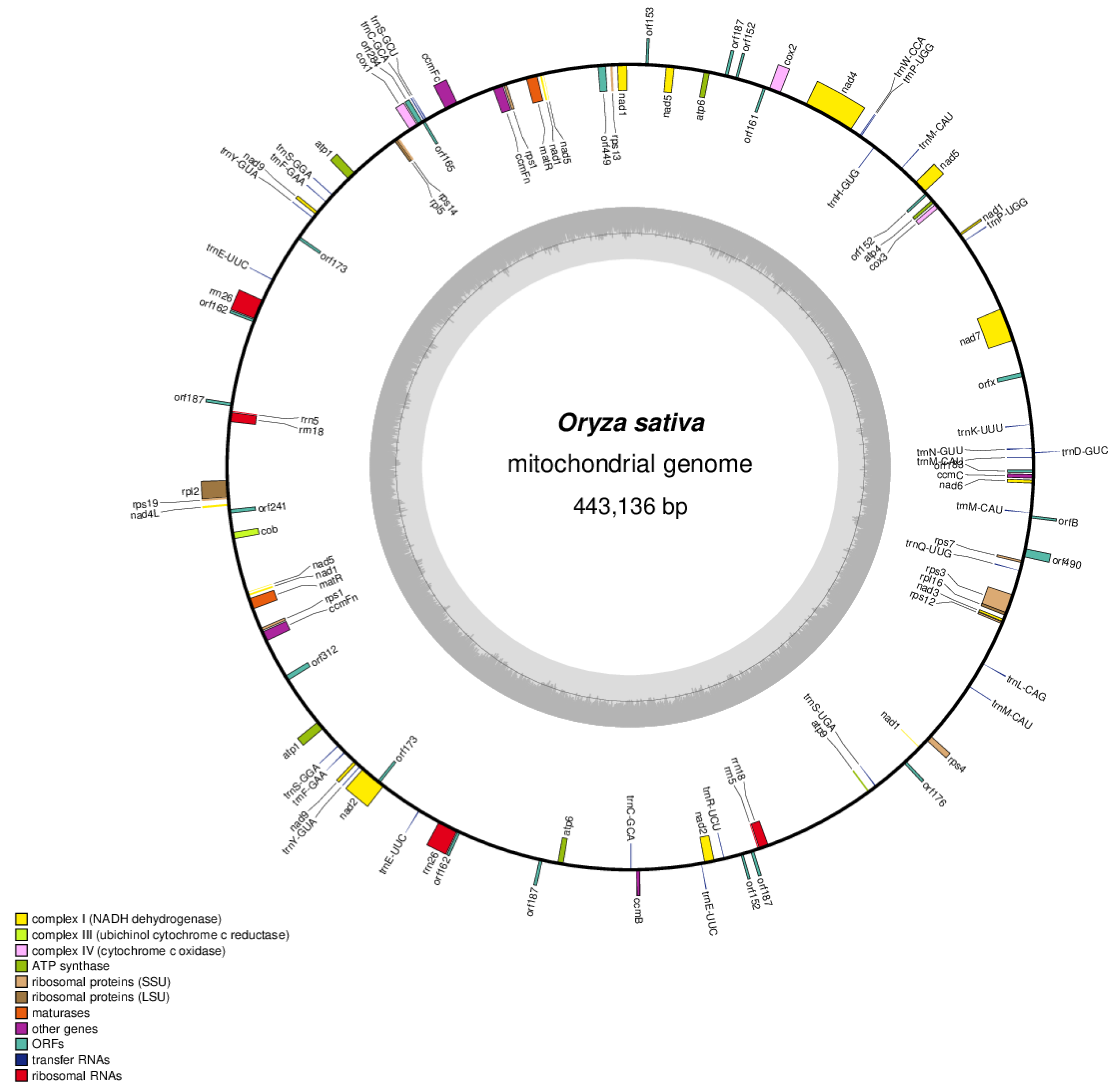 Genes 12 00590 g002 Genes 12 00590 g002