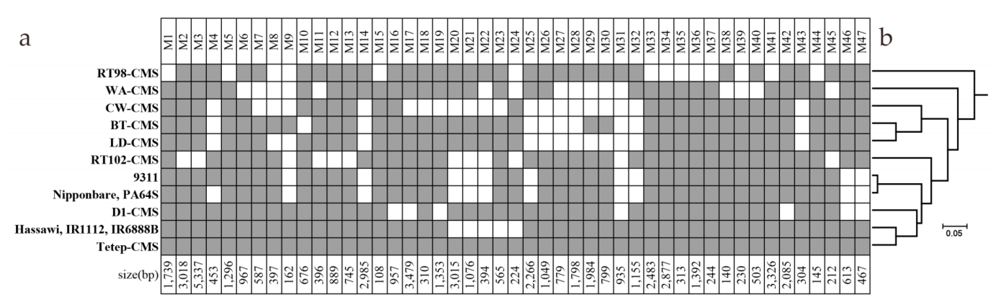 Genes 12 00590 g003 Genes 12 00590 g003