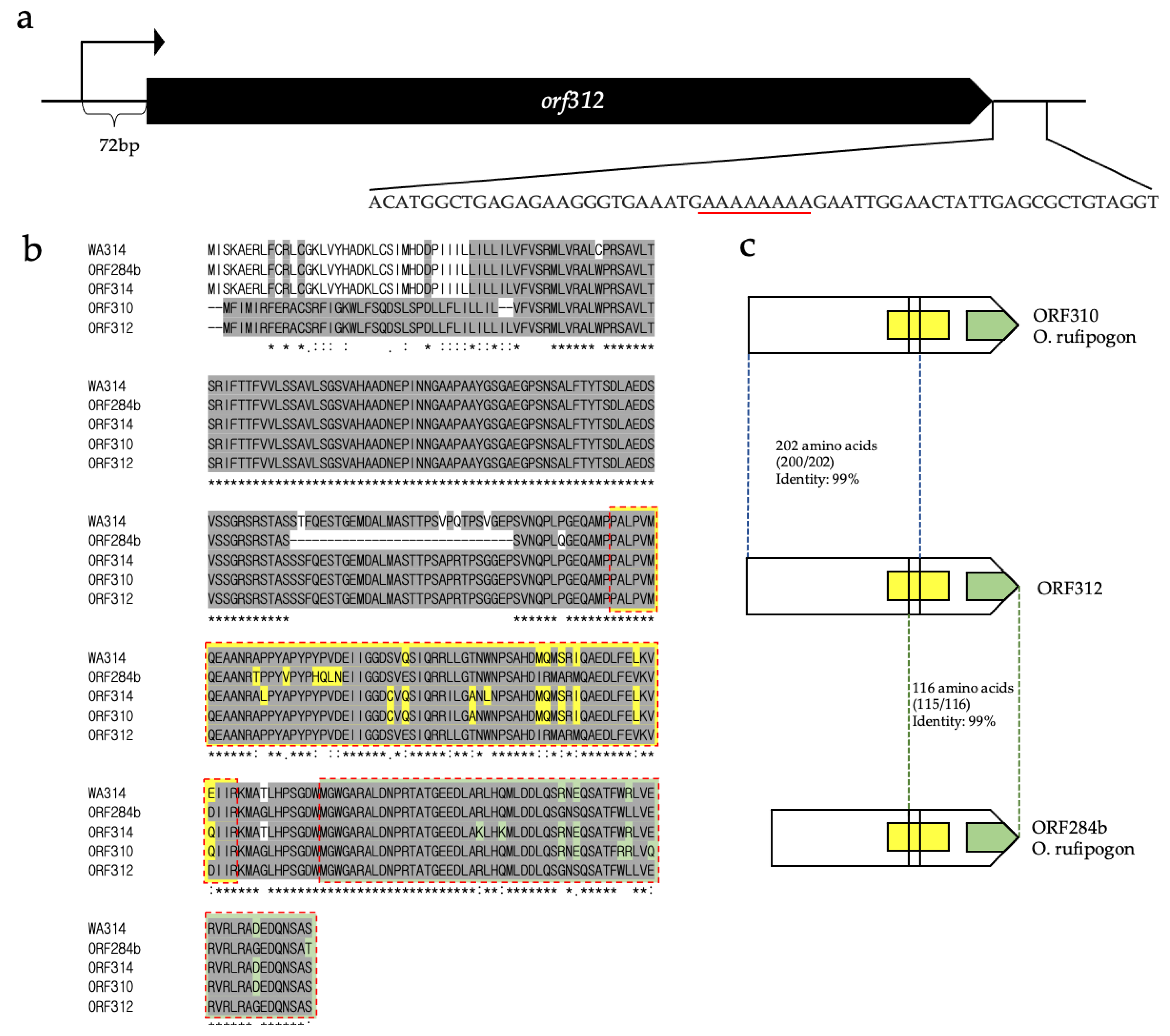 Genes 12 00590 g005 Genes 12 00590 g005