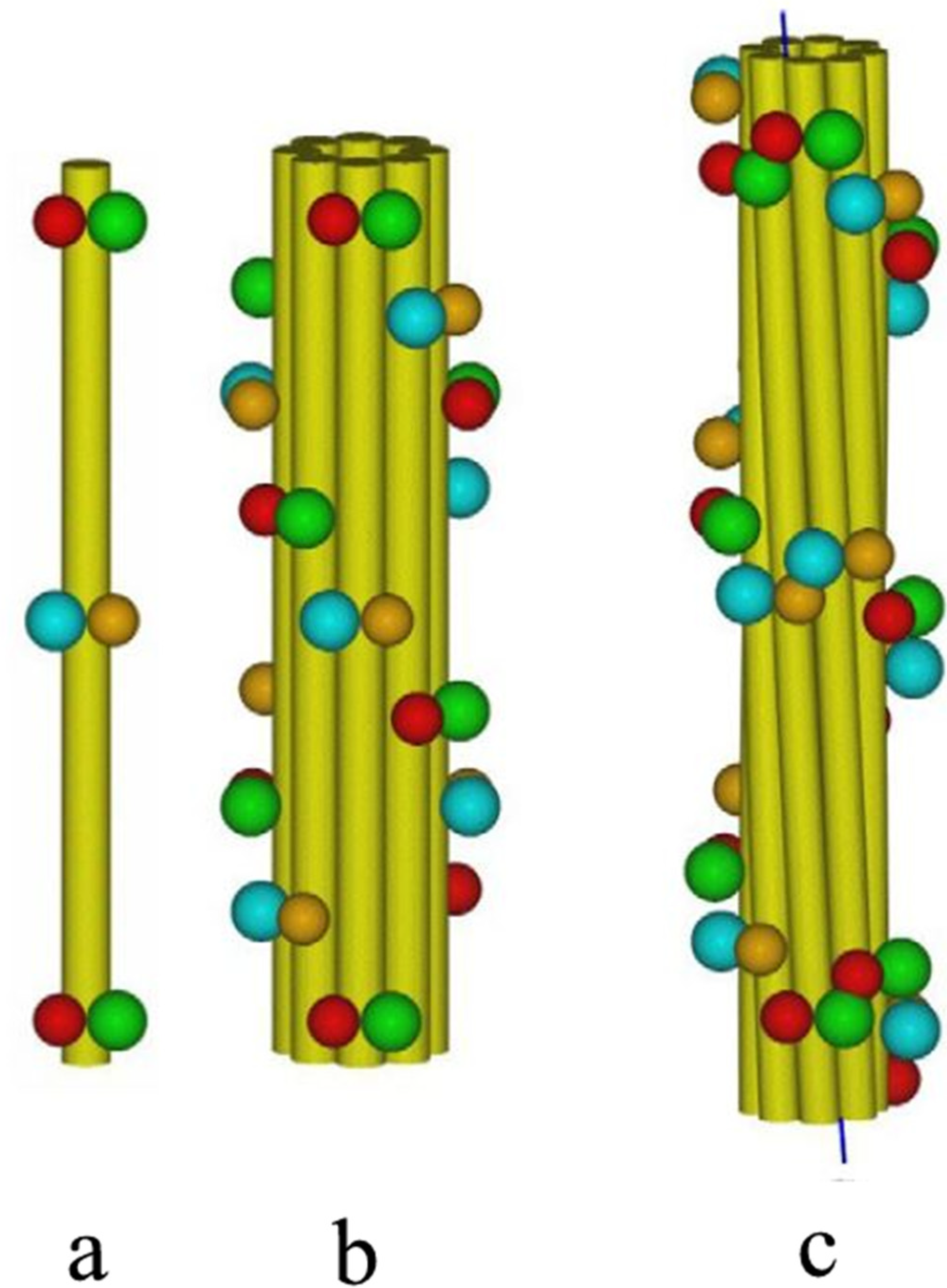 Genes Free Full Text Structures Of The Ss Keratin Filaments And Keratin Intermediate Filaments In The Epidermal Appendages Of Birds And Reptiles Sauropsids Html