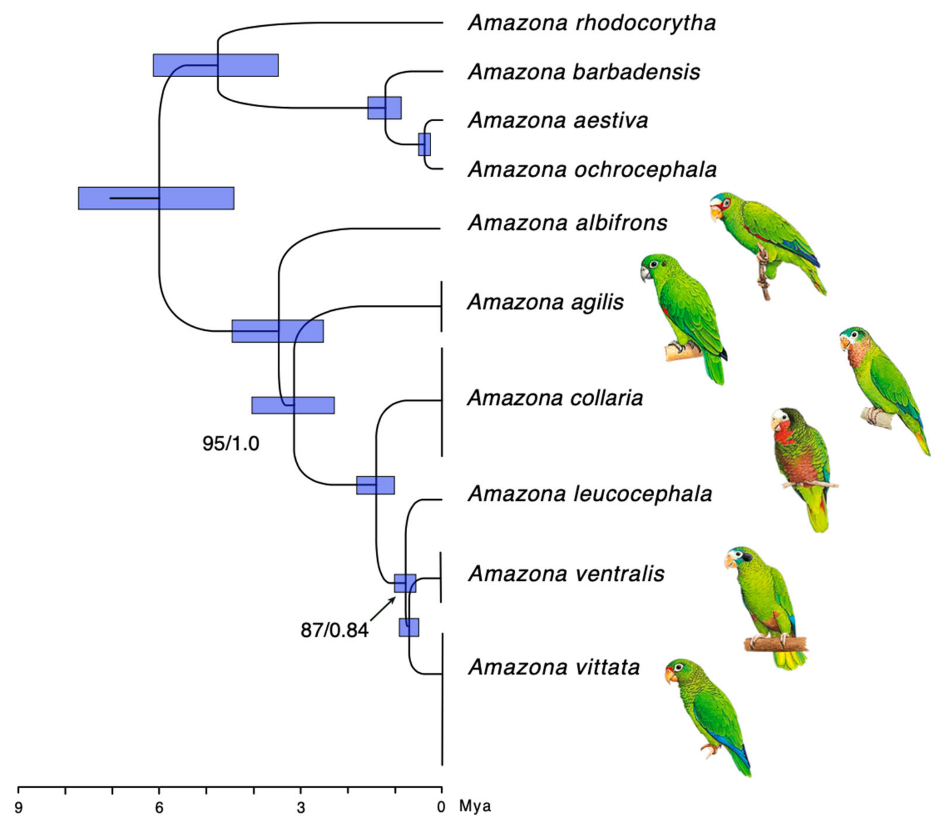 Genes 12 00608 g002