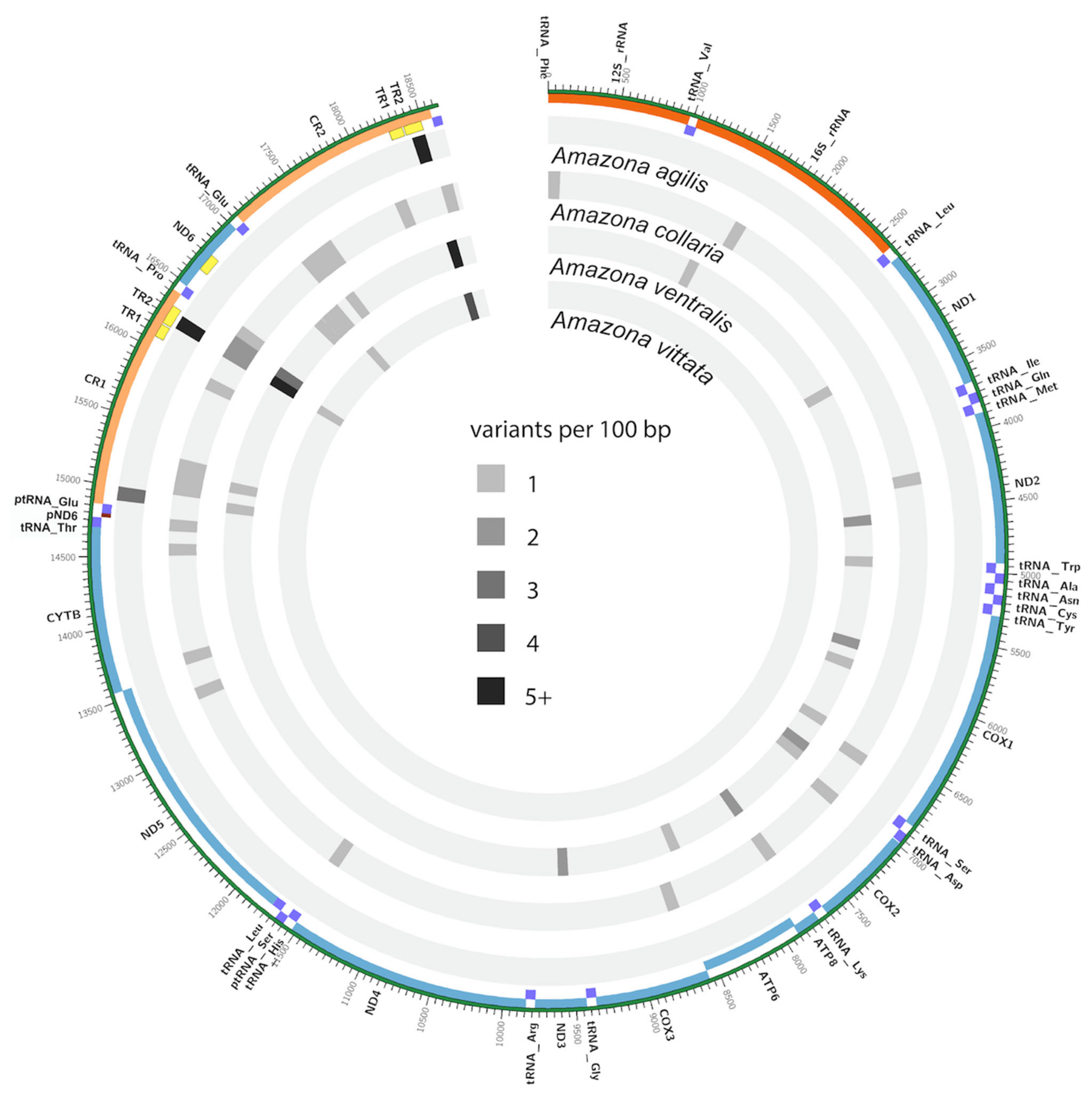 Genes 12 00608 g004
