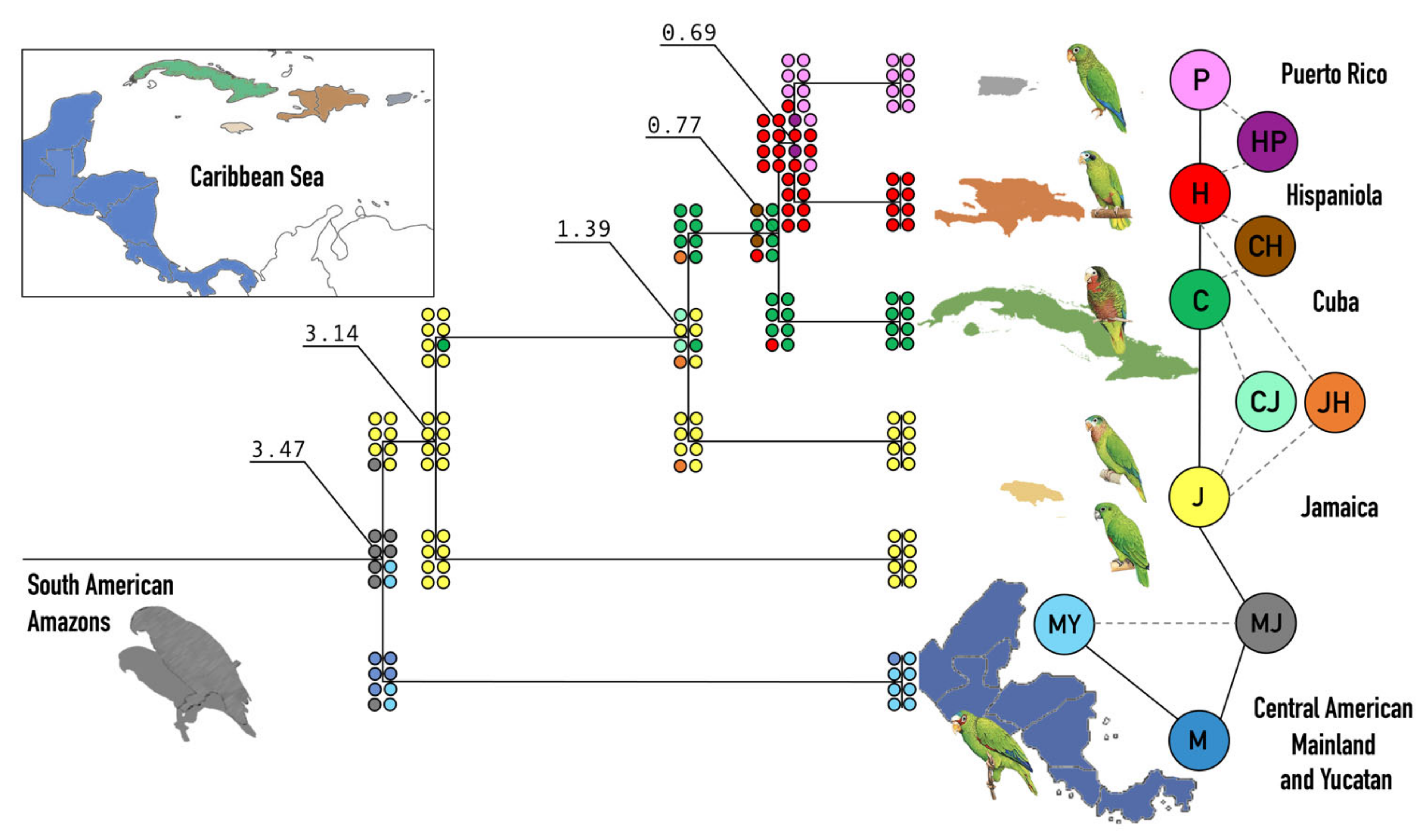 Genes 12 00608 g005