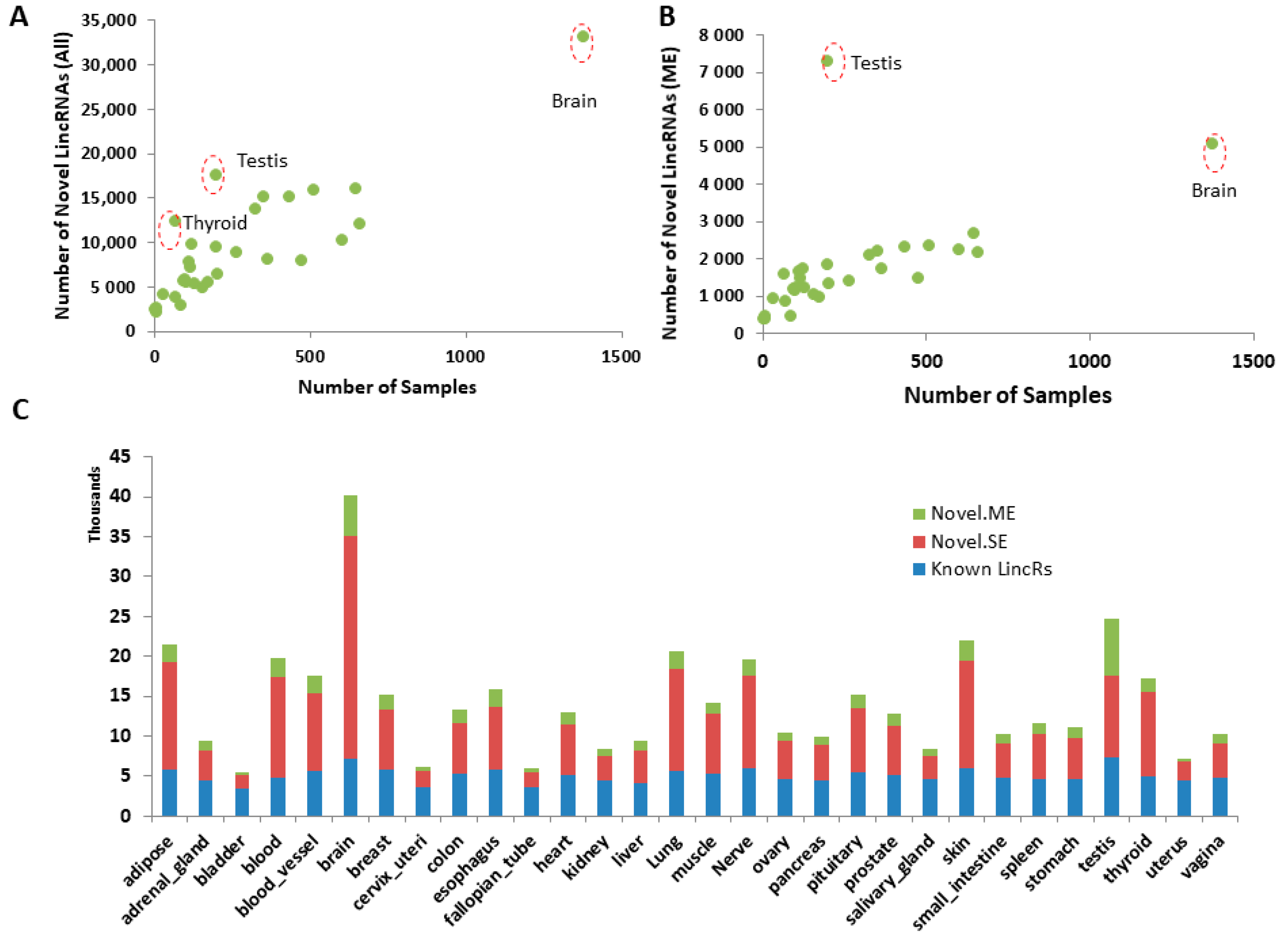 Genes 12 00614 g002 Genes 12 00614 g002