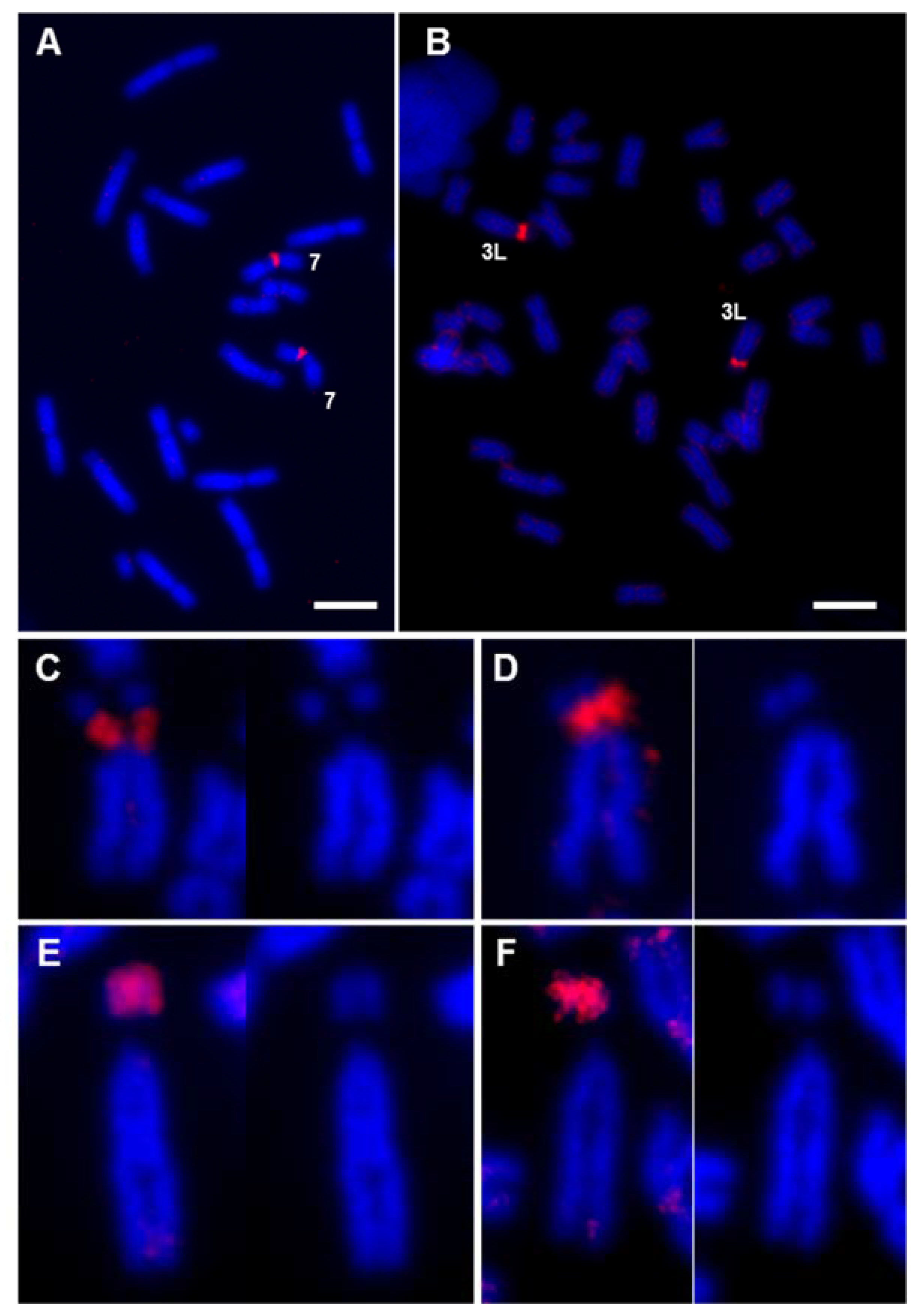 Genes 12 00617 g004 Genes 12 00617 g004