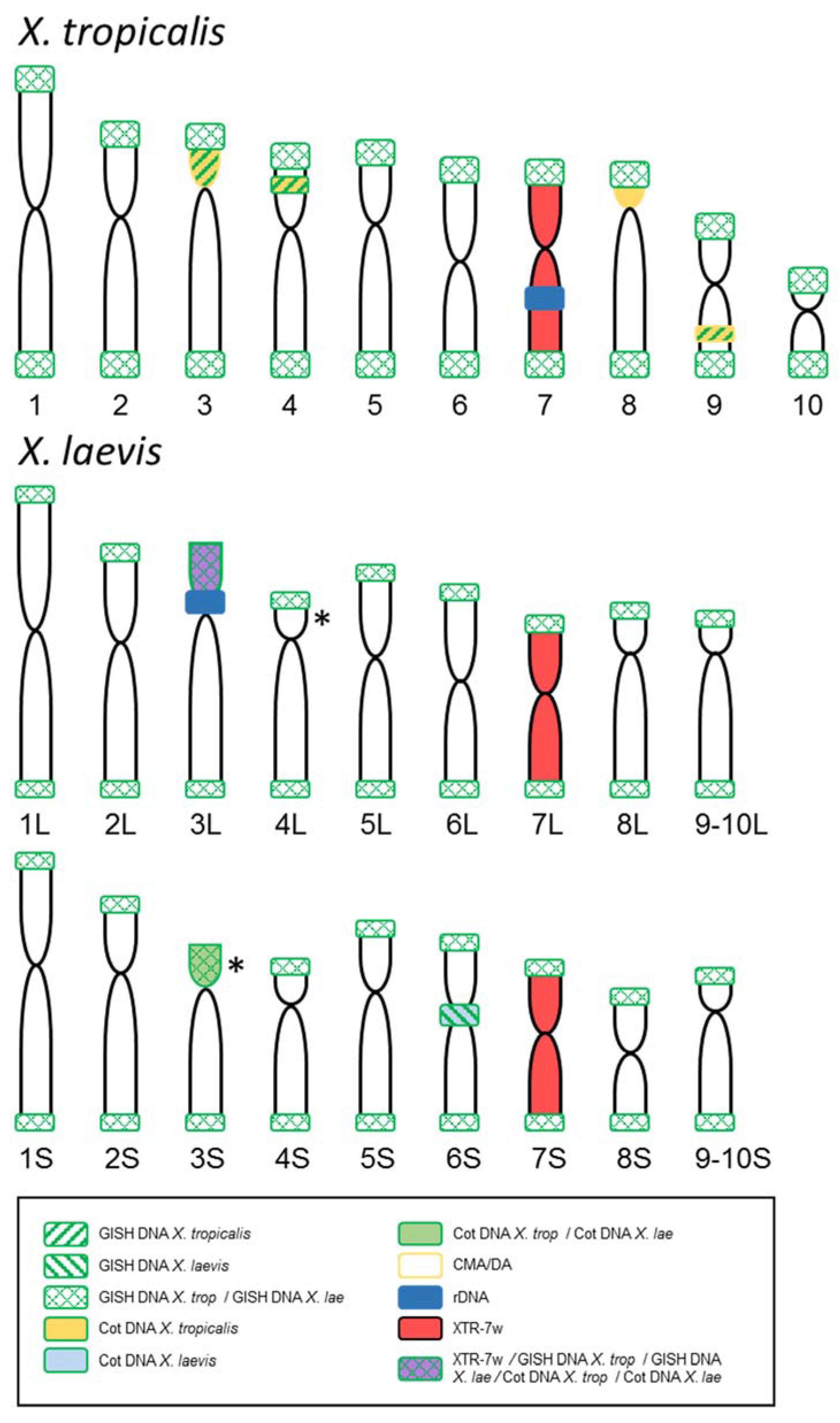 Genes 12 00617 g005 Genes 12 00617 g005