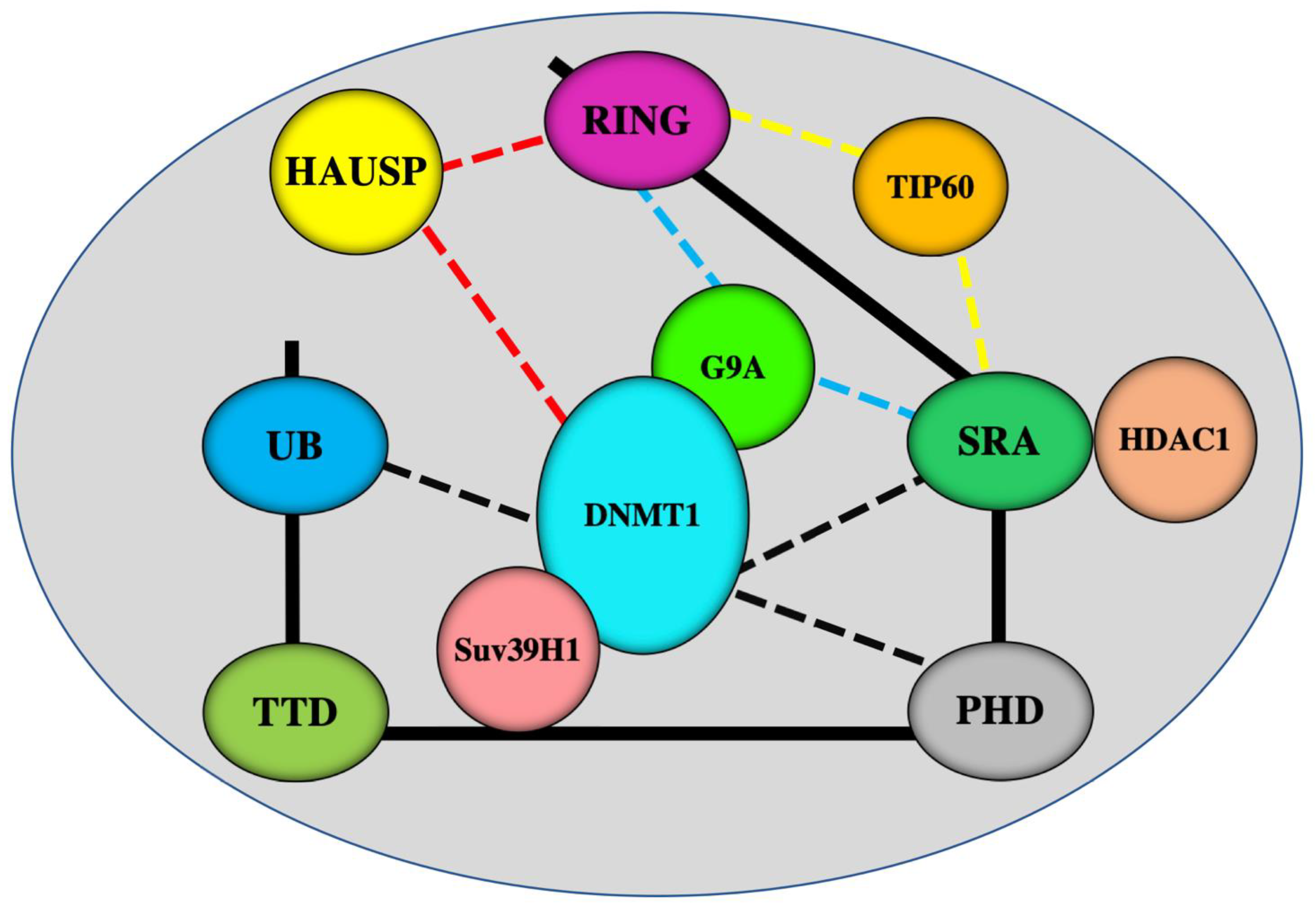 Genes 12 00622 g002