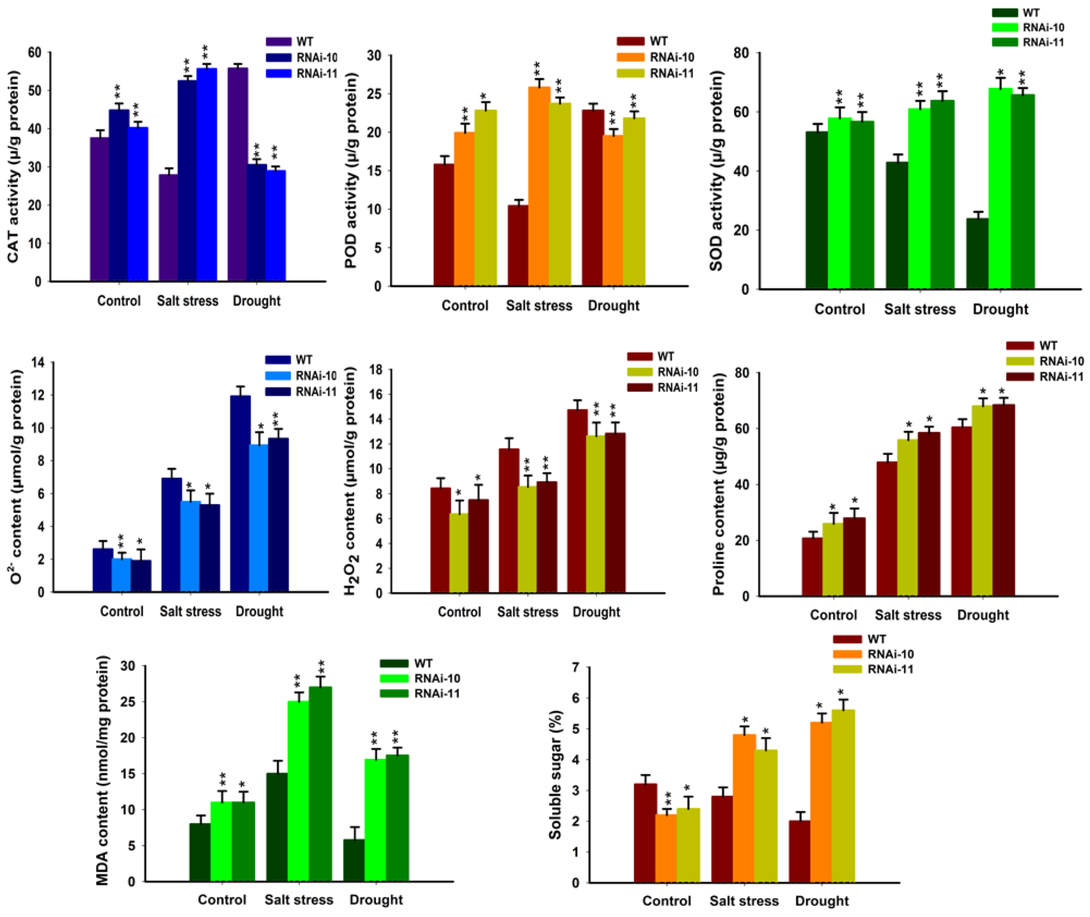 Genes 12 00623 g008
