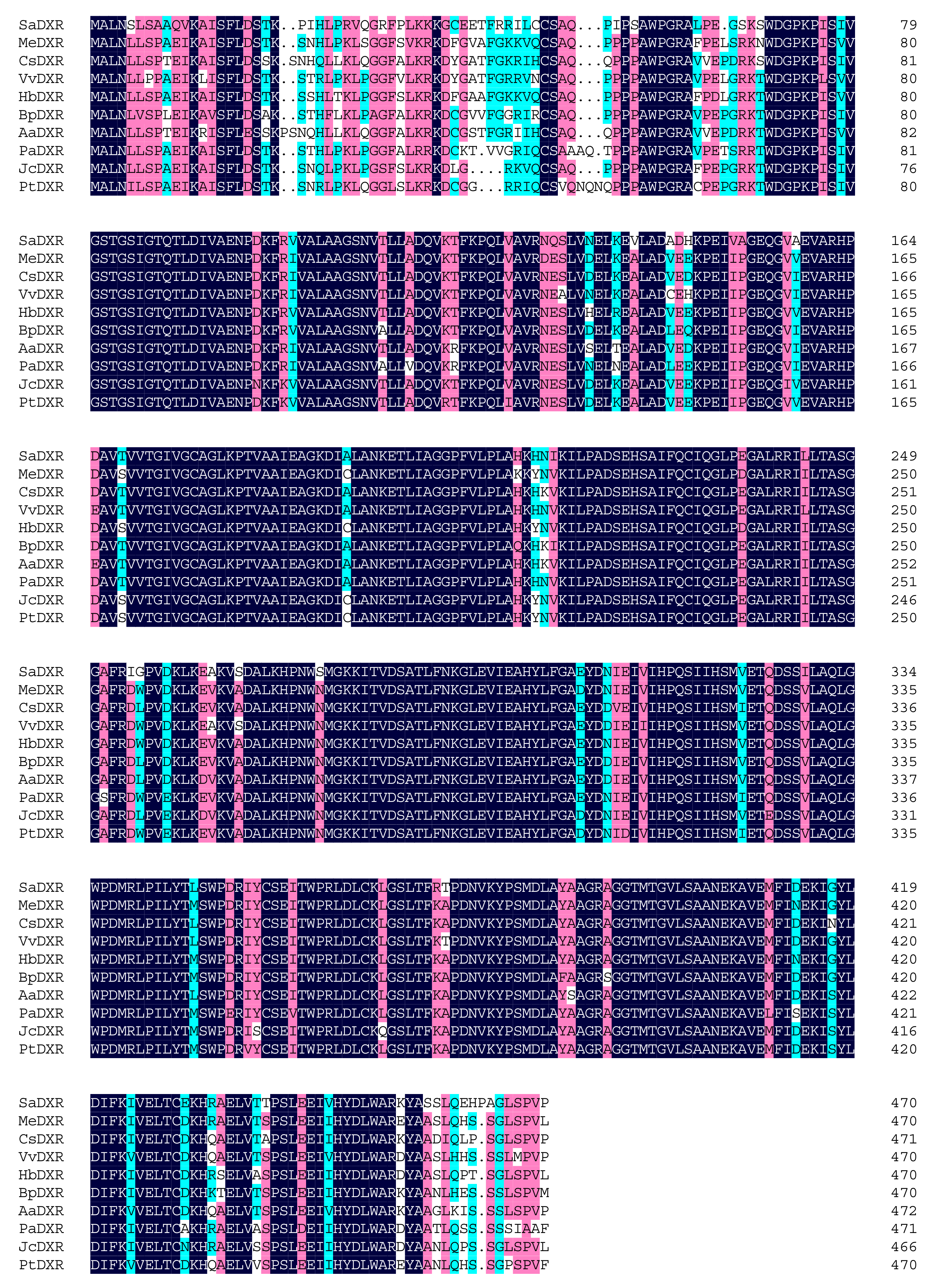 Genes 12 00626 g002 Genes 12 00626 g002