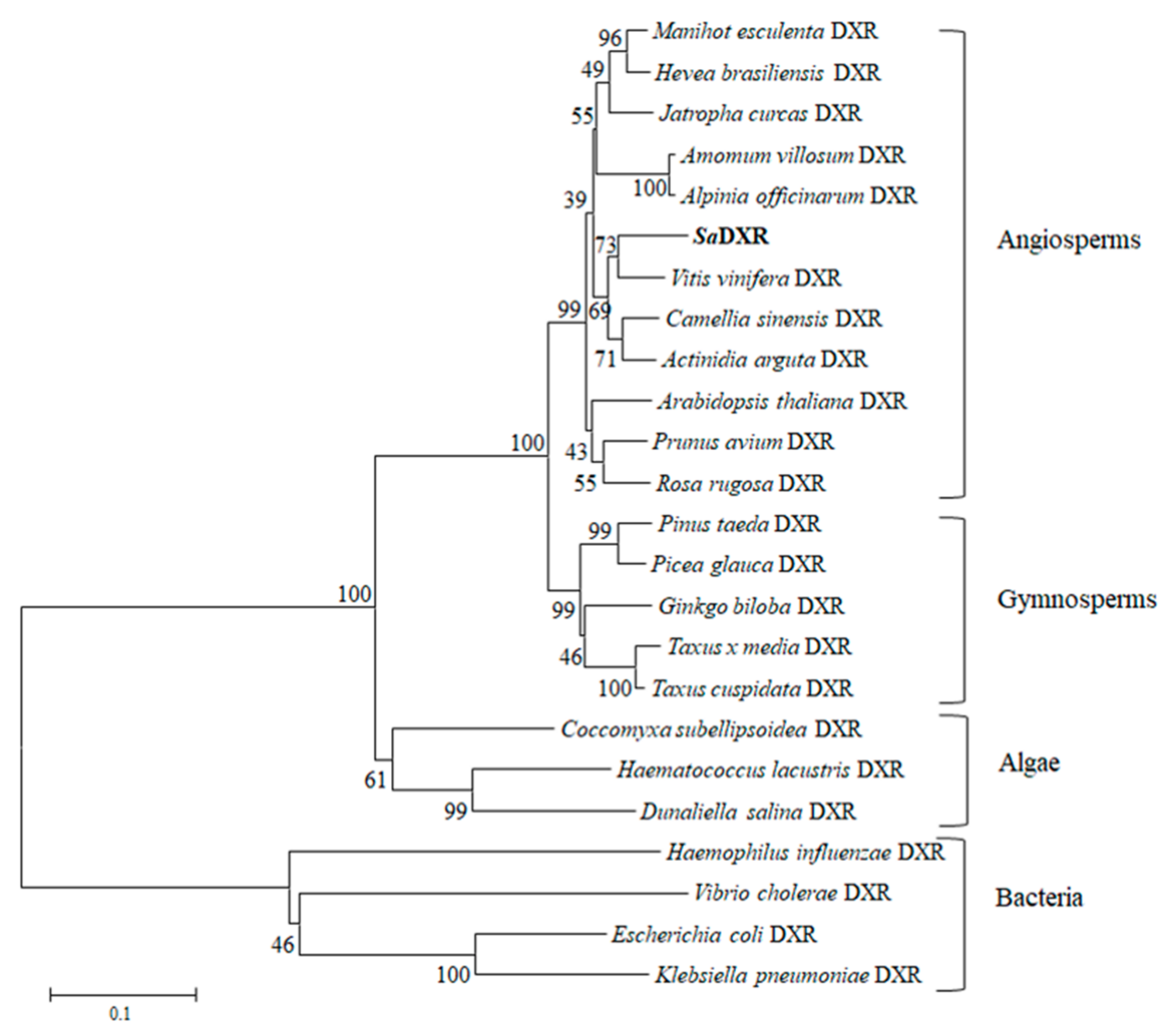 Genes 12 00626 g003 Genes 12 00626 g003