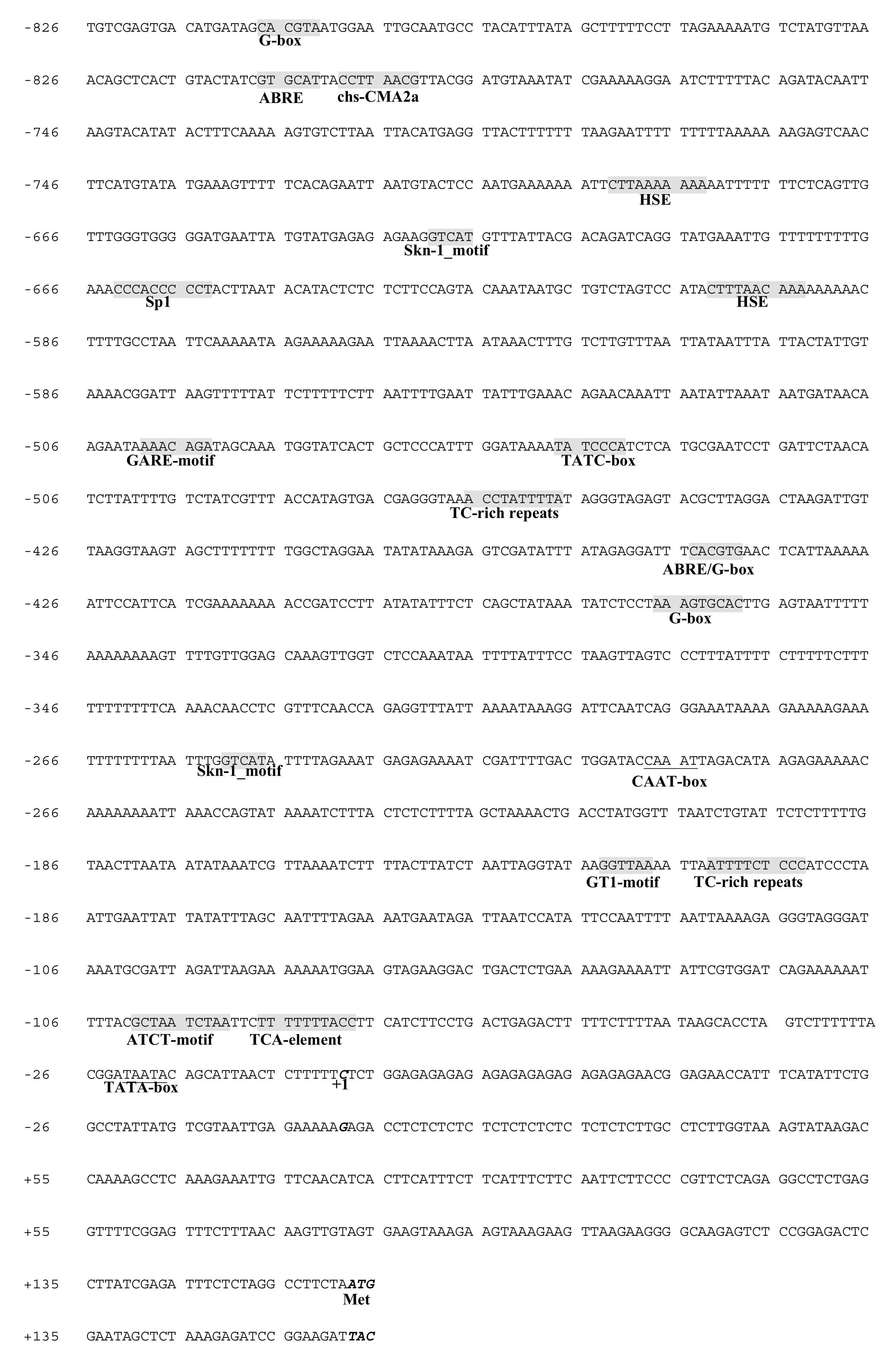 Genes 12 00626 g005 Genes 12 00626 g005