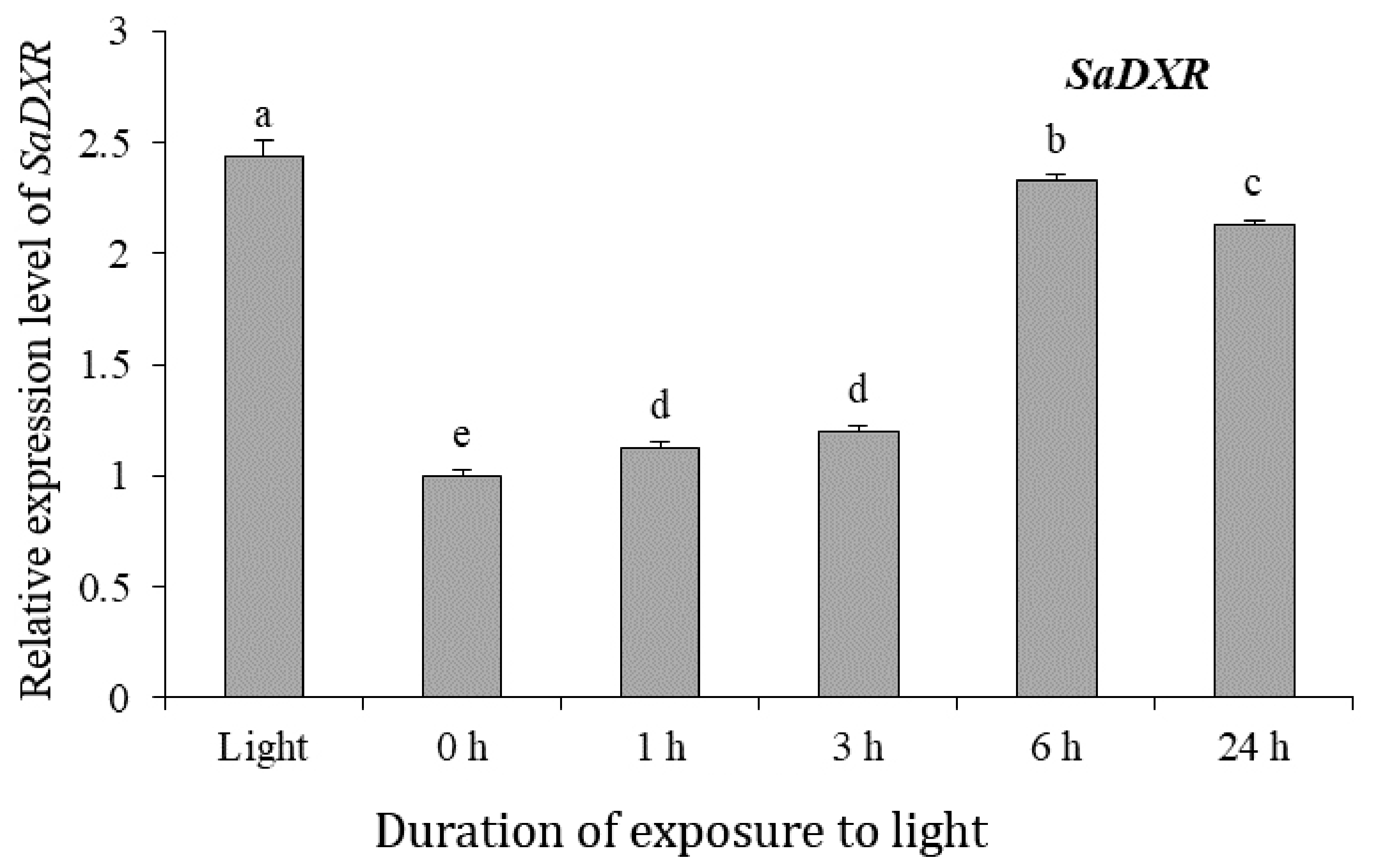 Genes 12 00626 g007 Genes 12 00626 g007