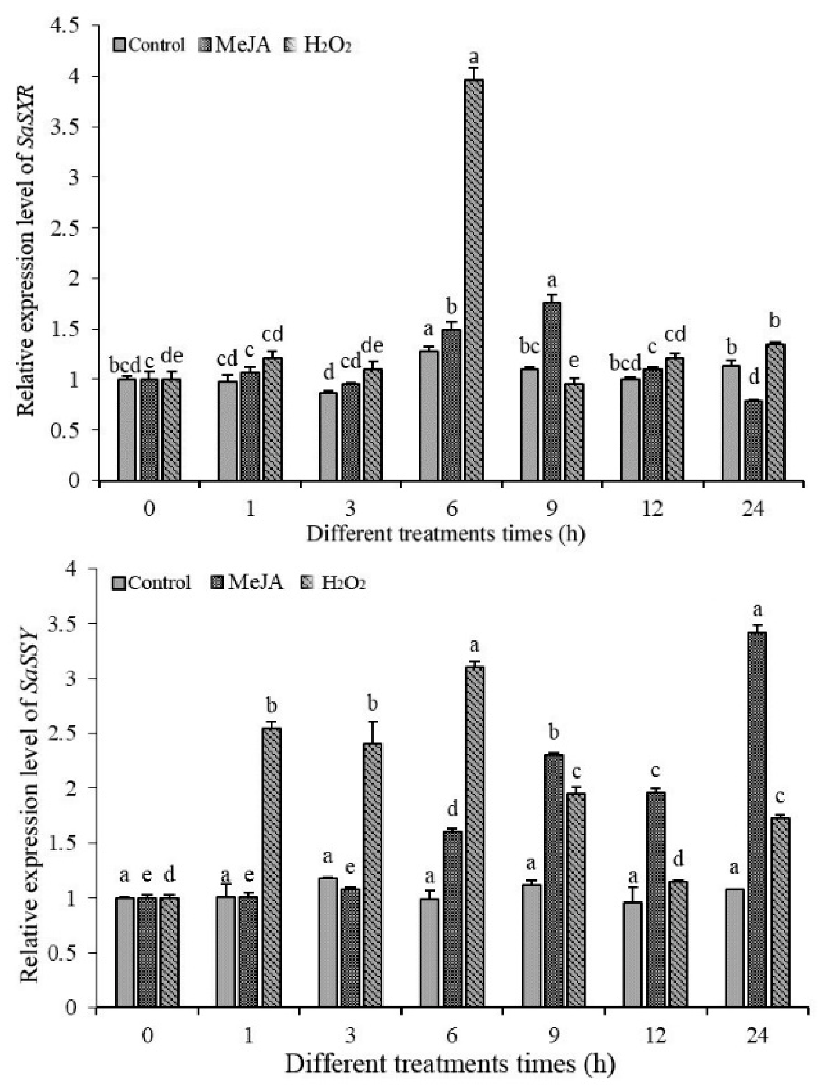 Genes 12 00626 g010 Genes 12 00626 g010