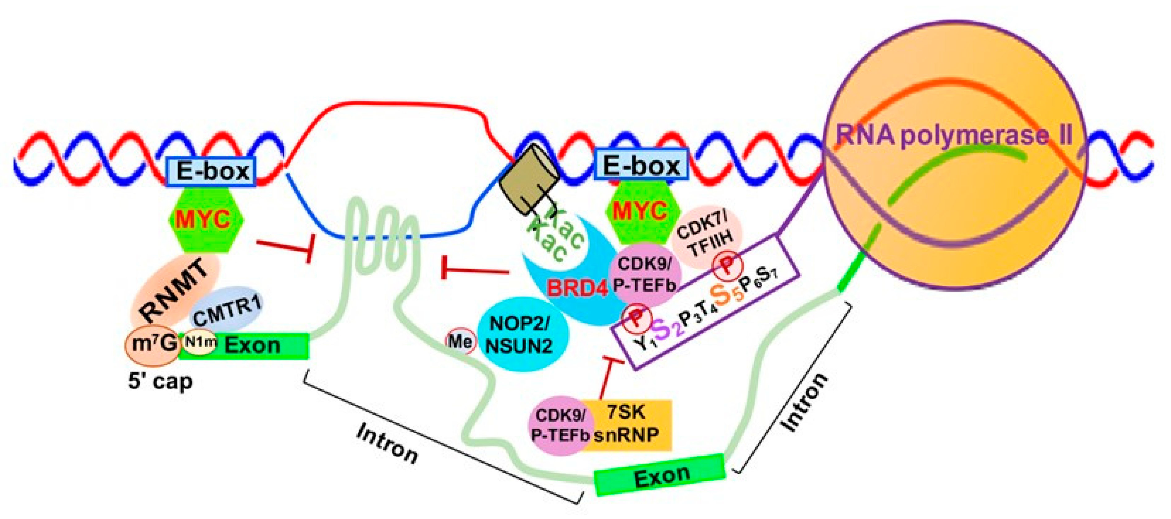 Genes 12 00627 g006 Genes 12 00627 g006