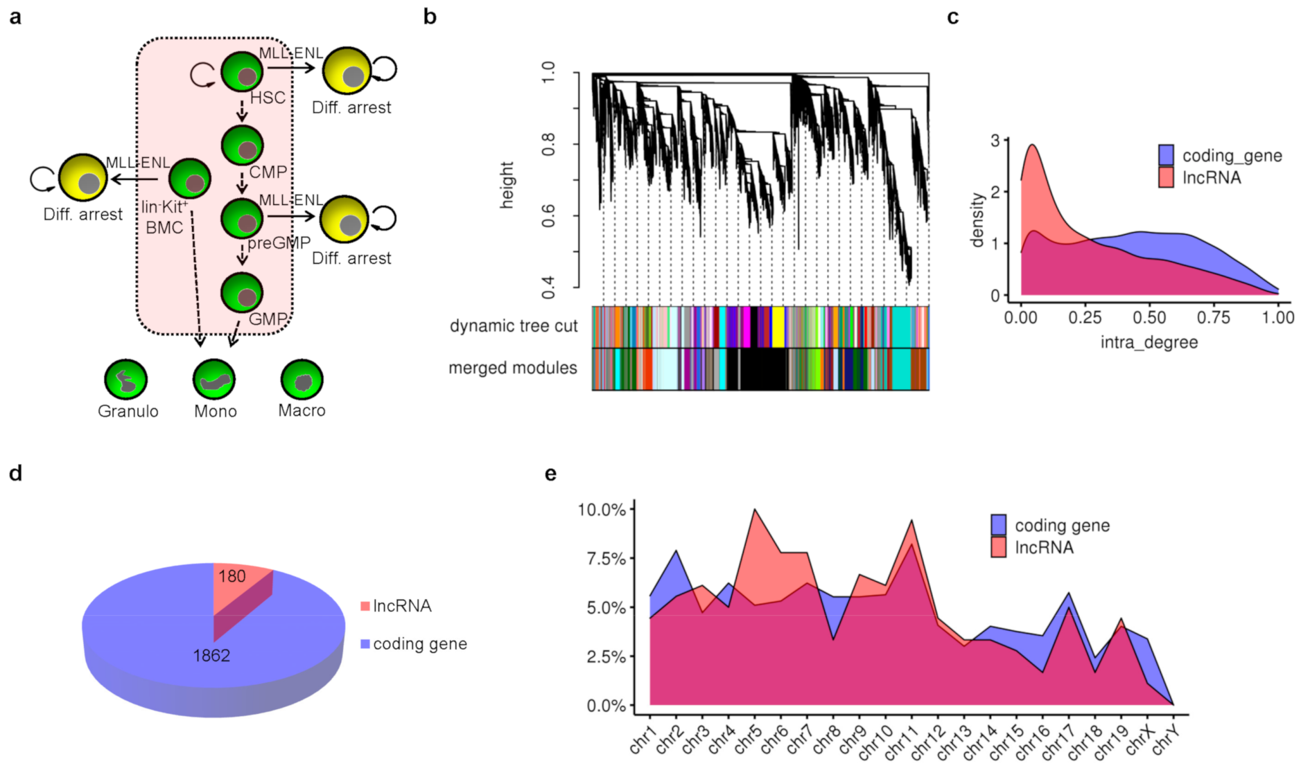 Genes 12 00630 g001 Genes 12 00630 g001