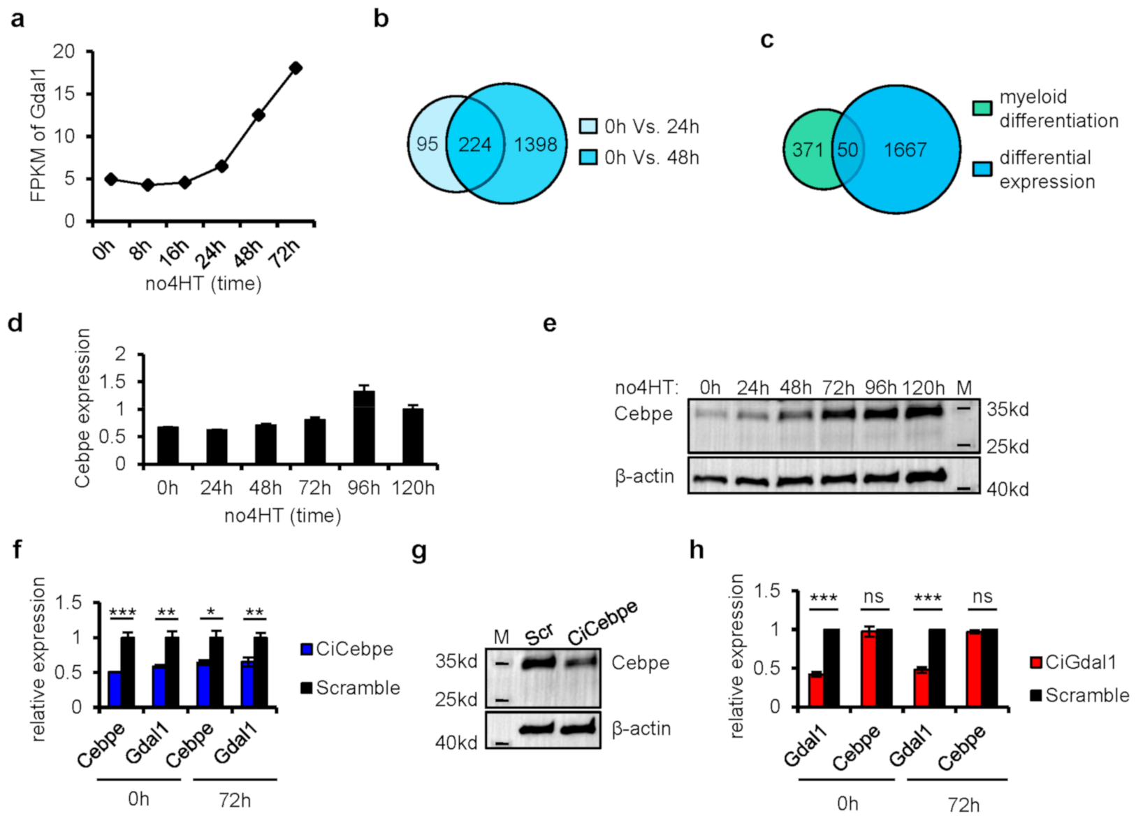 Genes 12 00630 g003 Genes 12 00630 g003