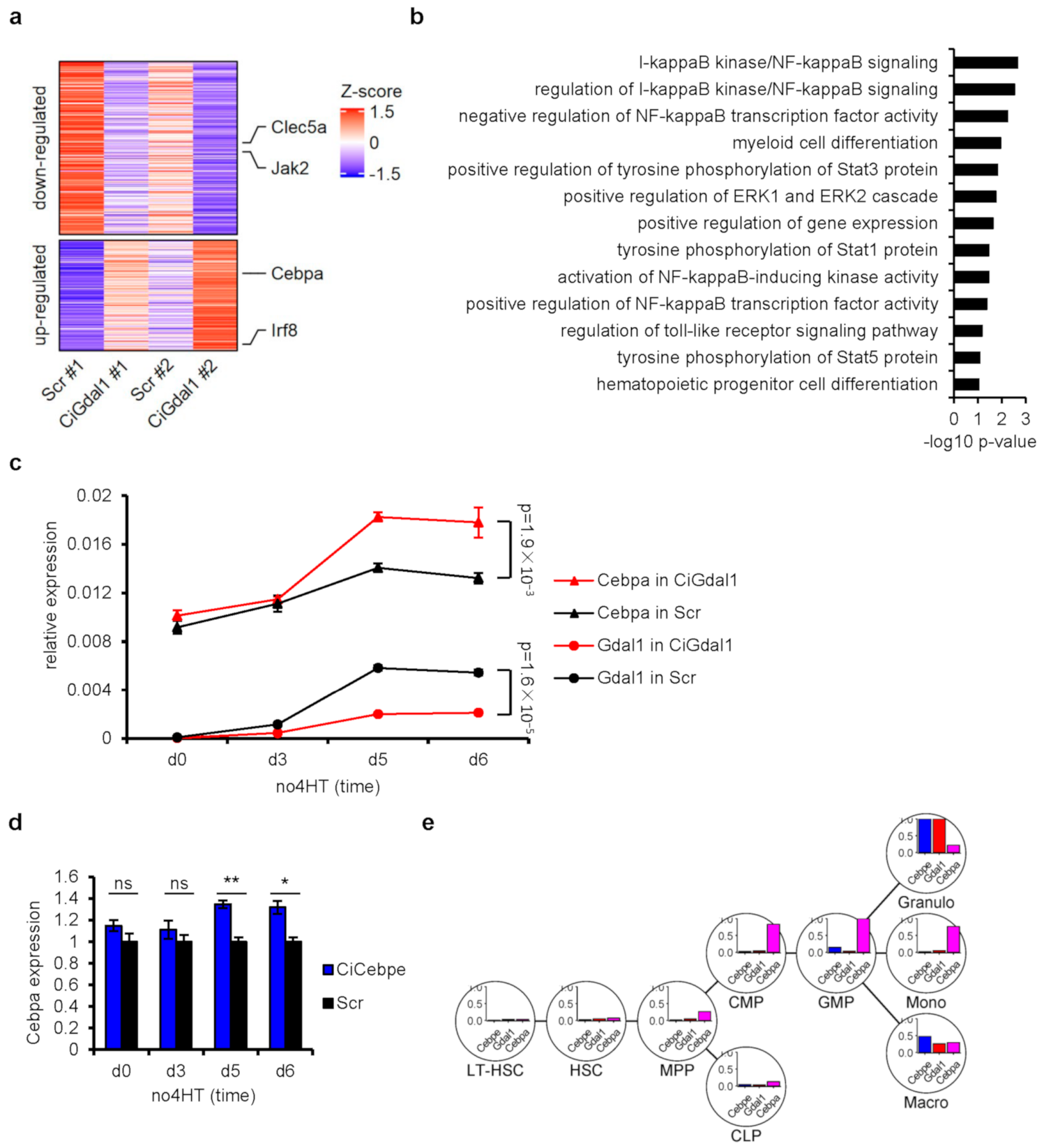 Genes 12 00630 g004 Genes 12 00630 g004