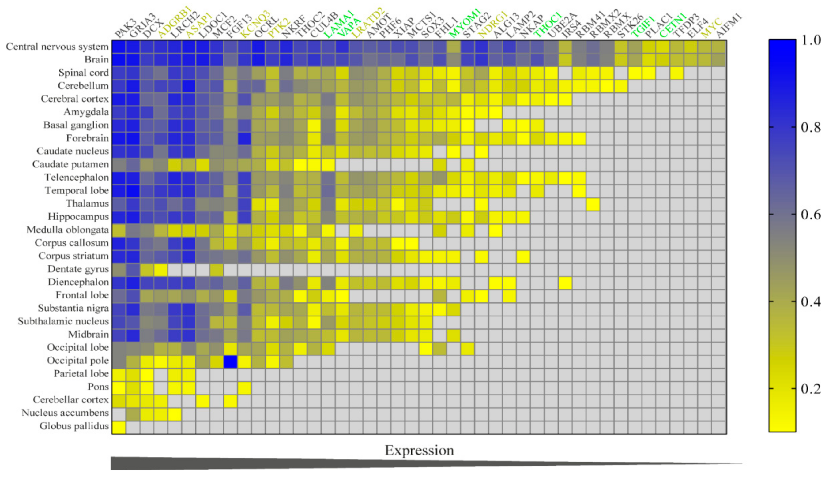 Genes 12 00632 g004 Genes 12 00632 g004