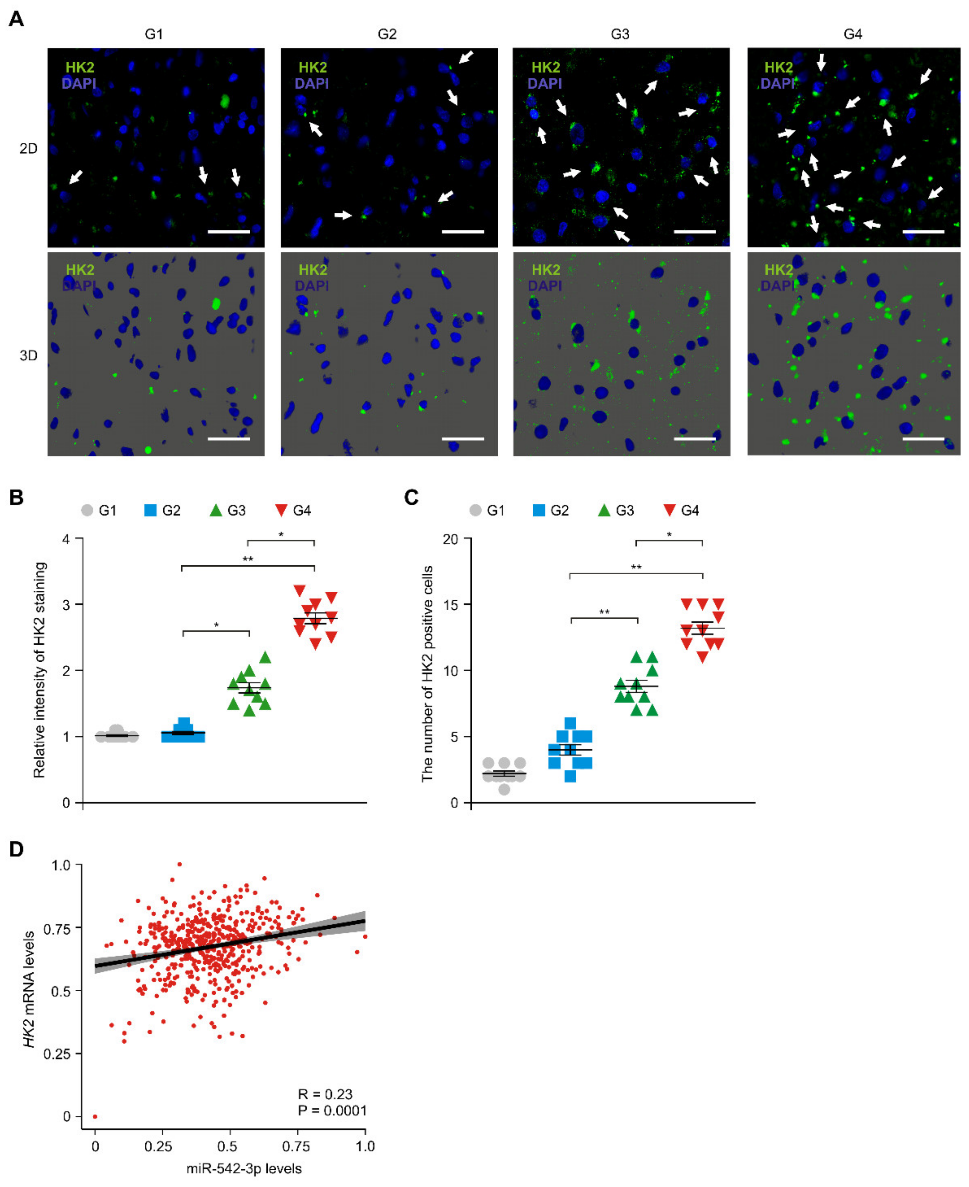 Genes 12 00633 g004