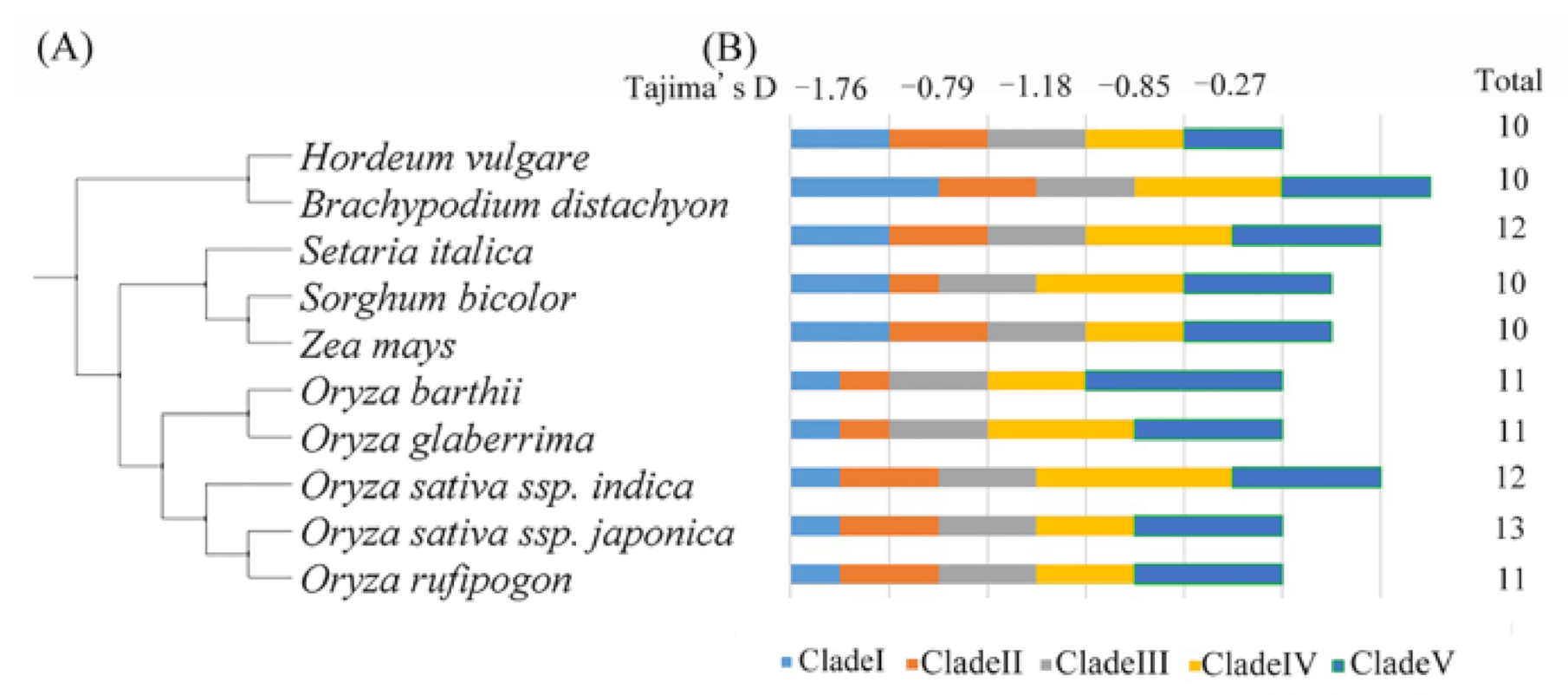 Genes 12 00634 g003