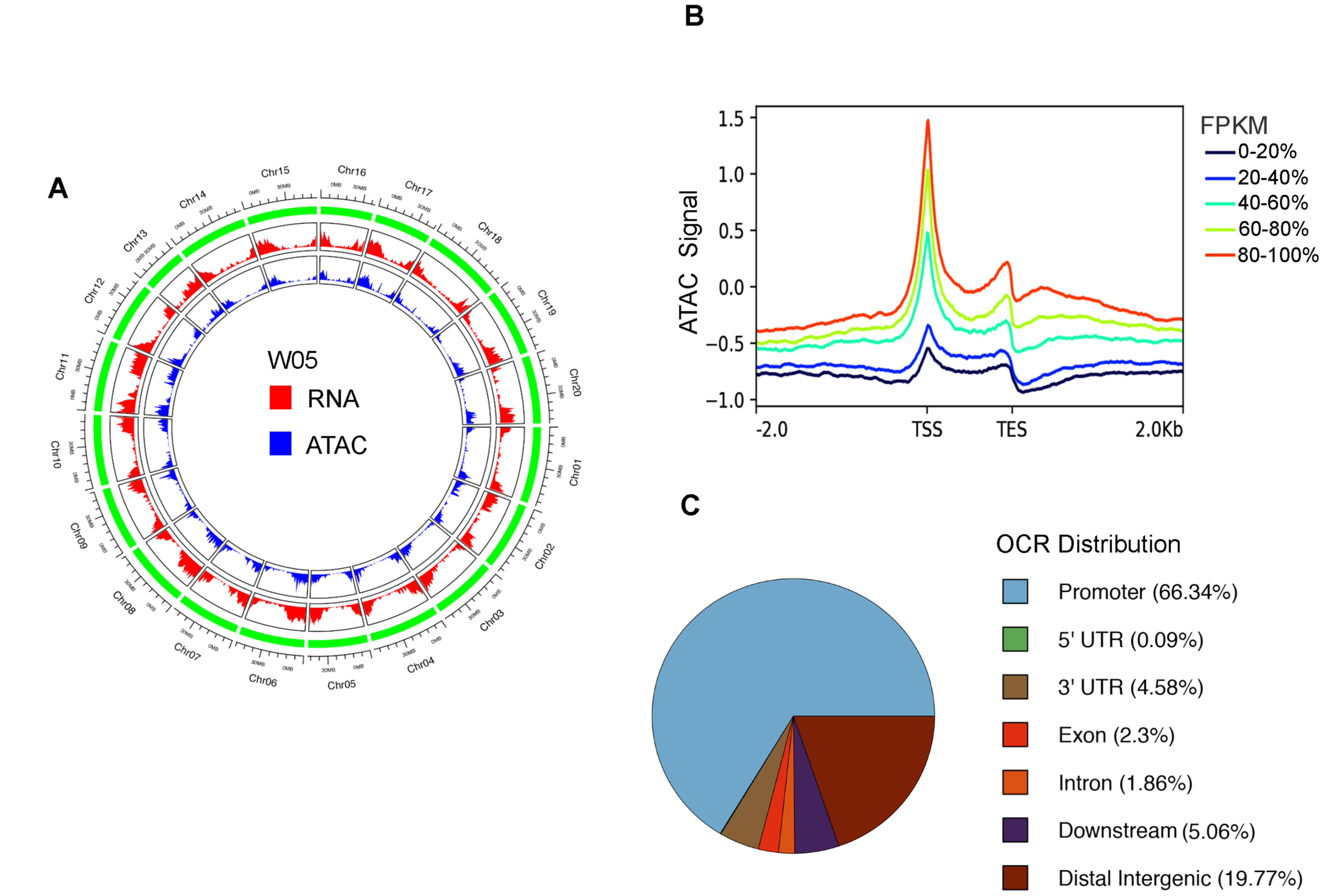 Genes 12 00640 g001 Genes 12 00640 g001