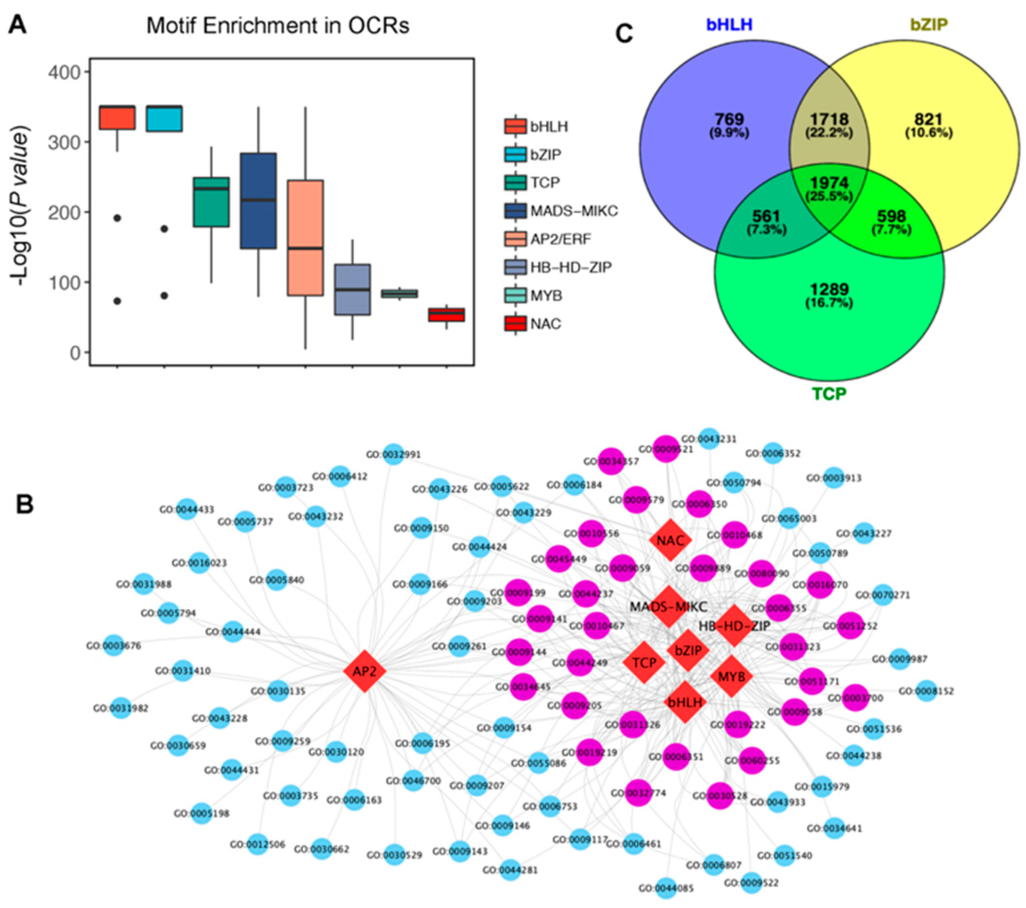 Genes 12 00640 g002 Genes 12 00640 g002
