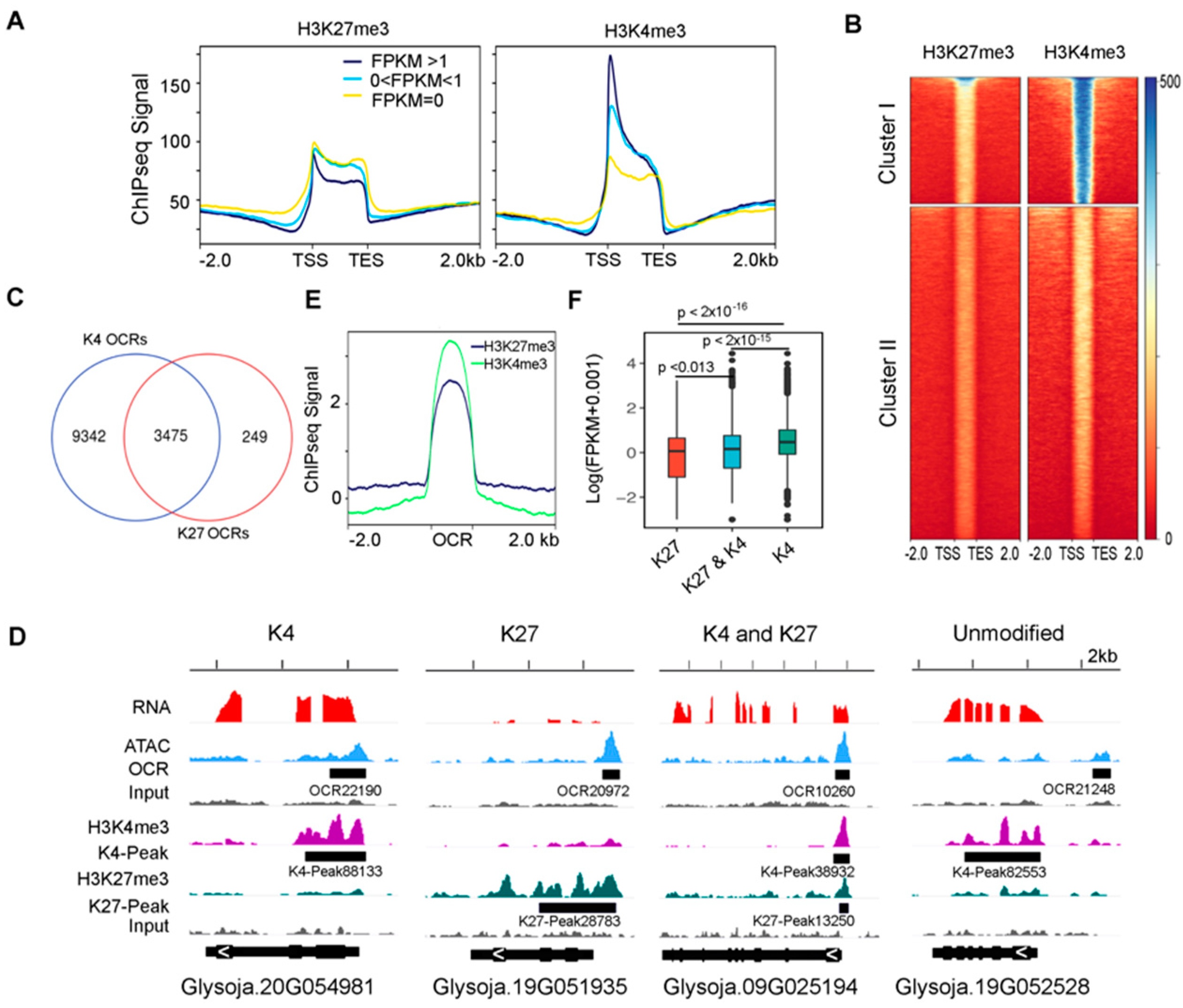 Genes 12 00640 g003 Genes 12 00640 g003
