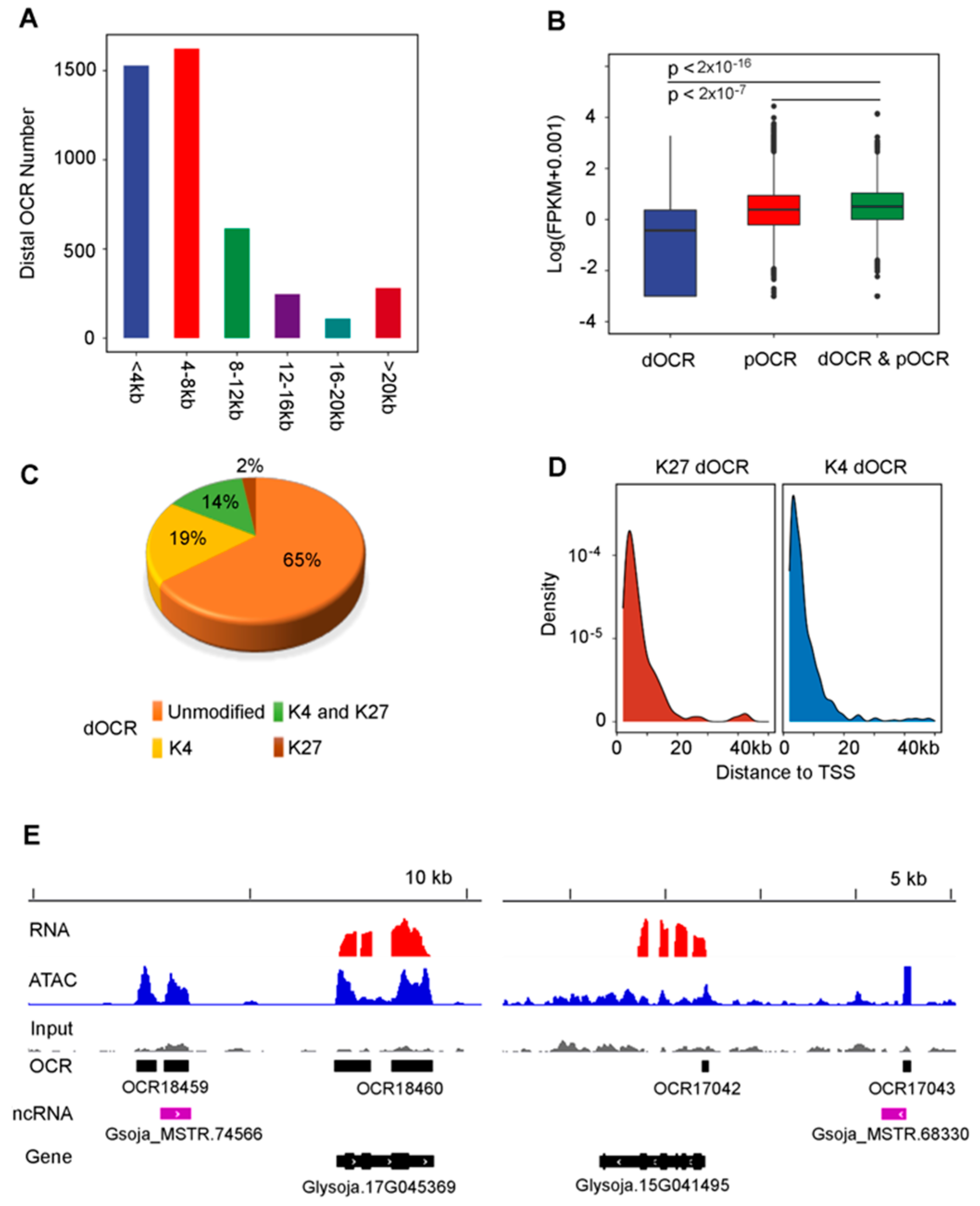 Genes 12 00640 g004 Genes 12 00640 g004