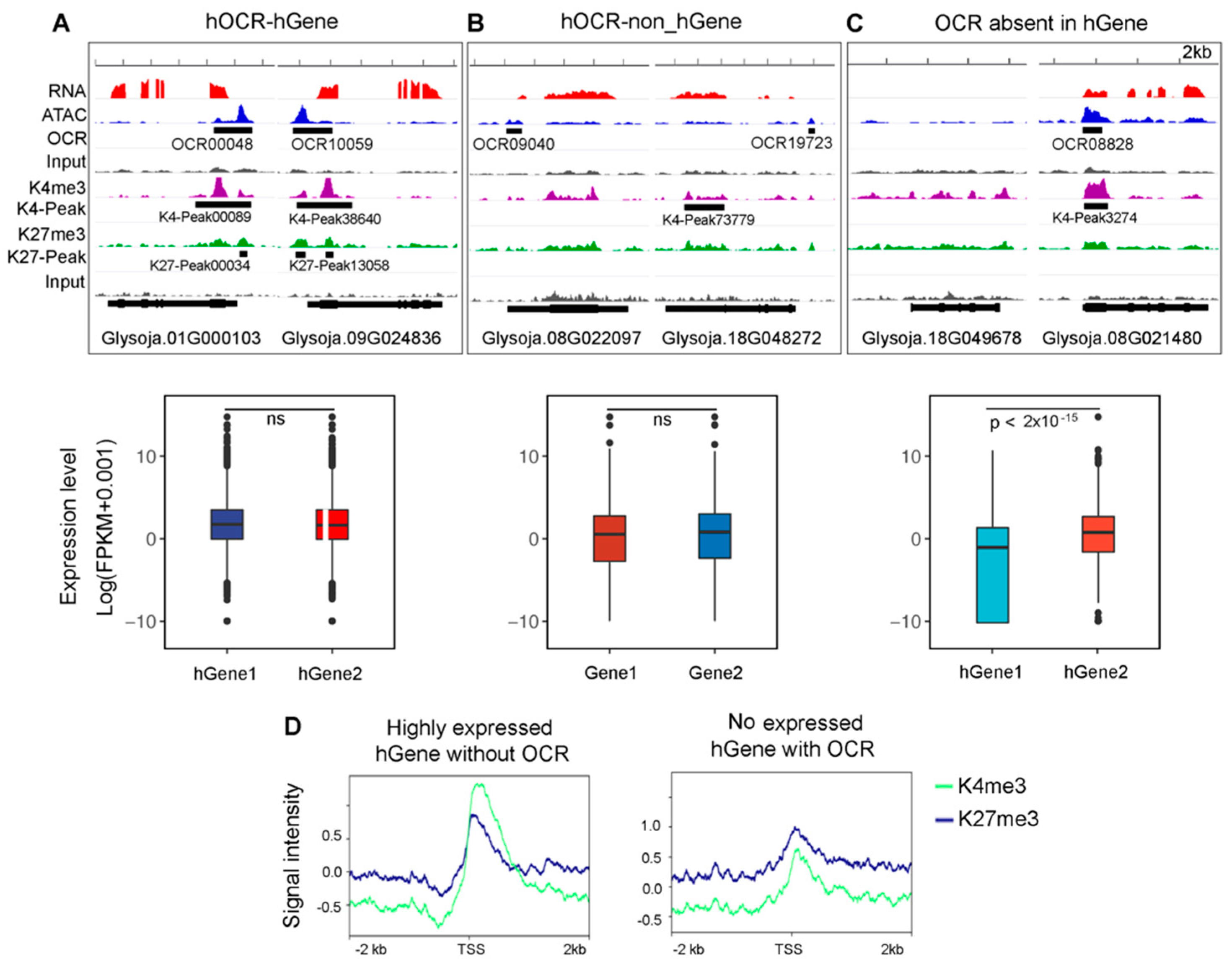 Genes 12 00640 g005 Genes 12 00640 g005