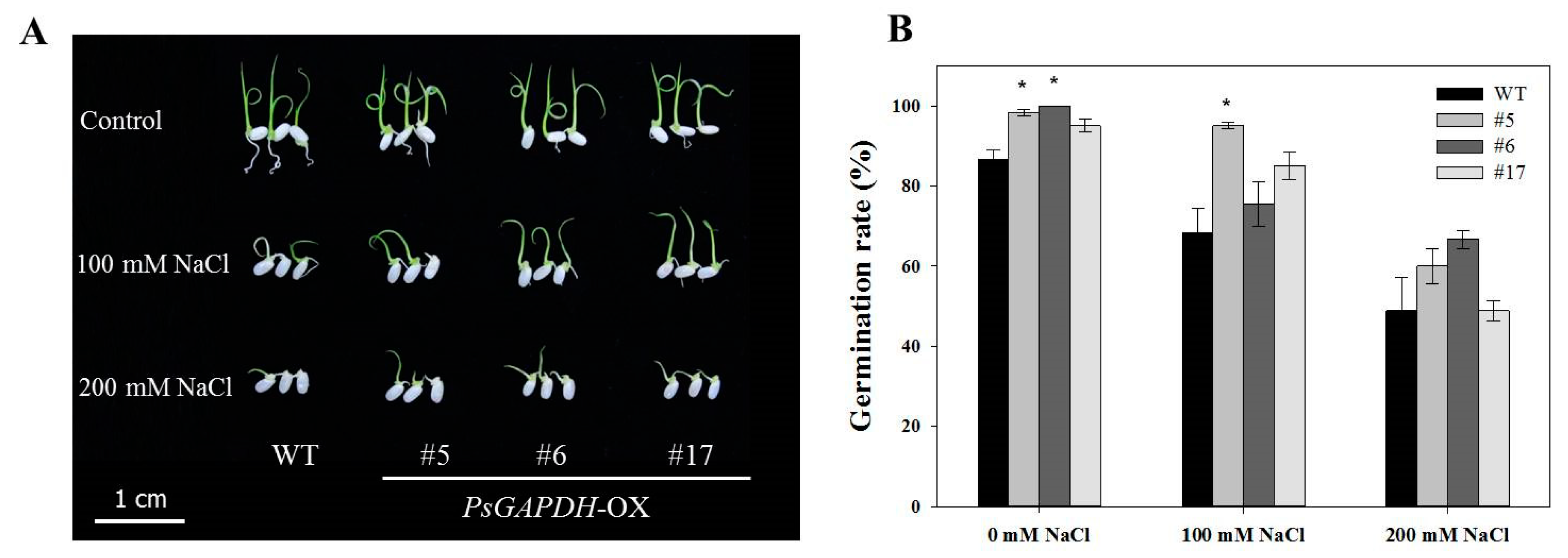 Genes 12 00641 g002