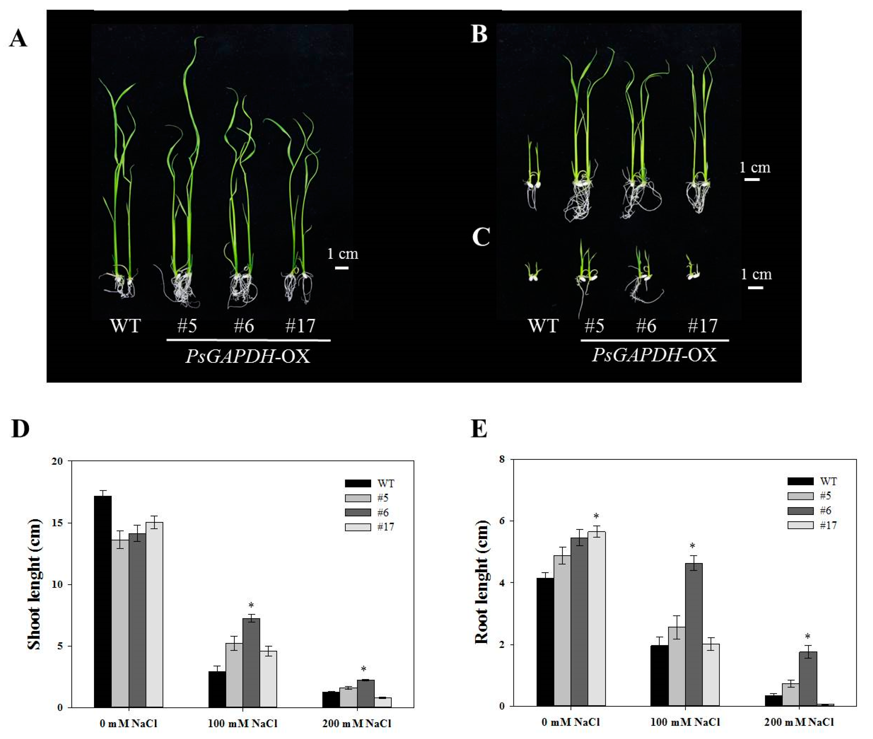 Genes 12 00641 g003