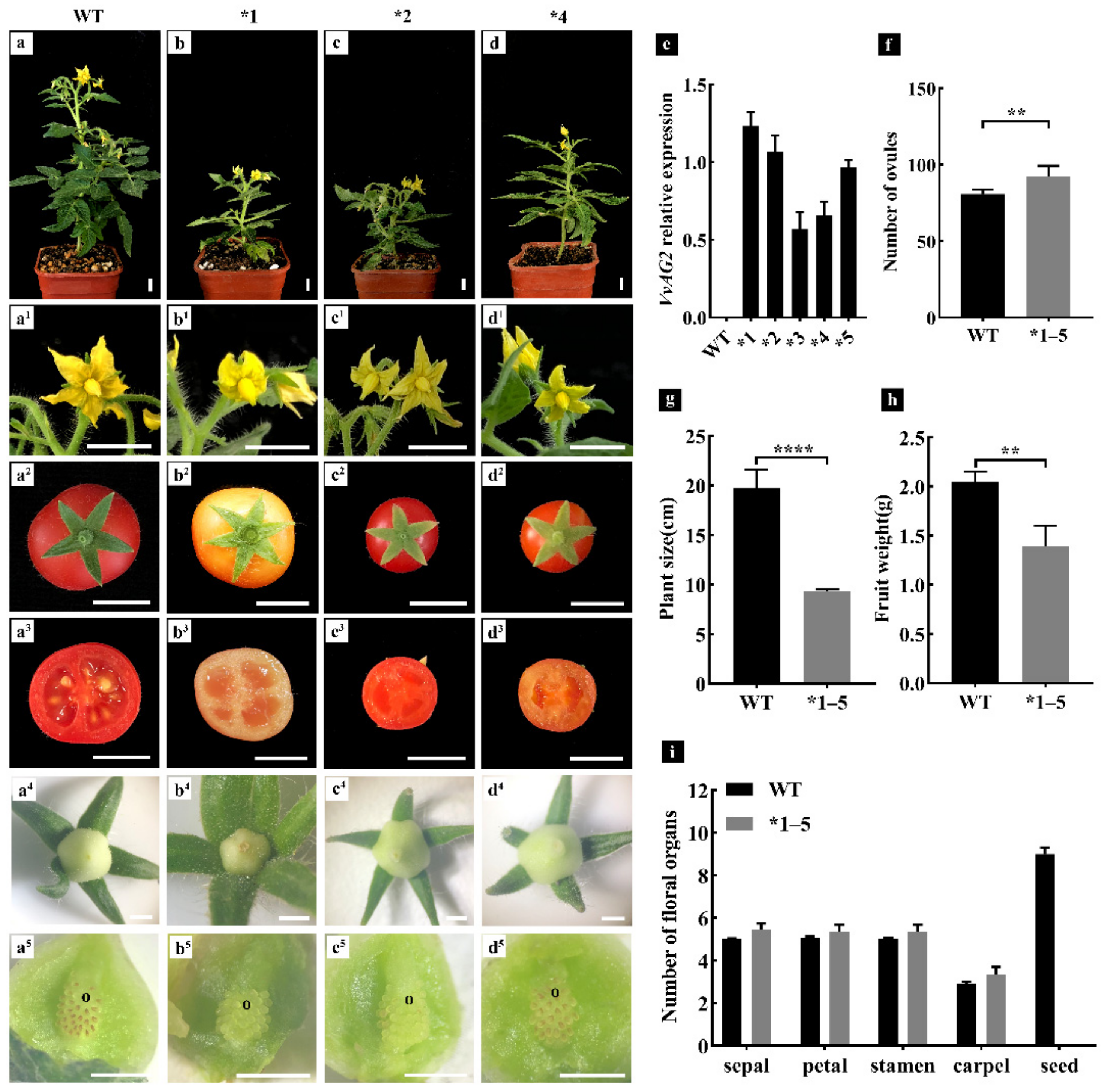 Genes 12 00647 g007 Genes 12 00647 g007