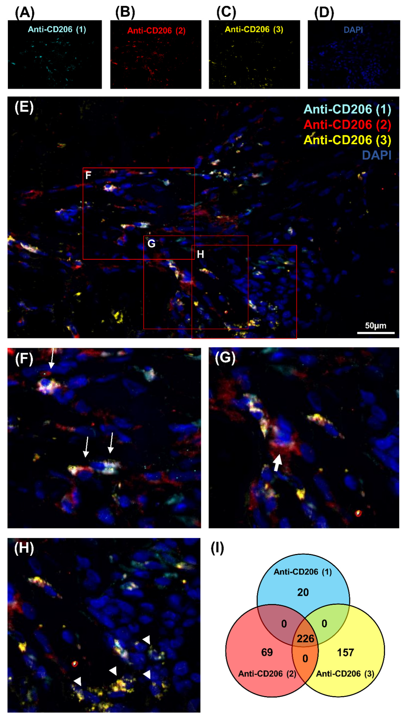 Genes 12 00649 g001 Genes 12 00649 g001