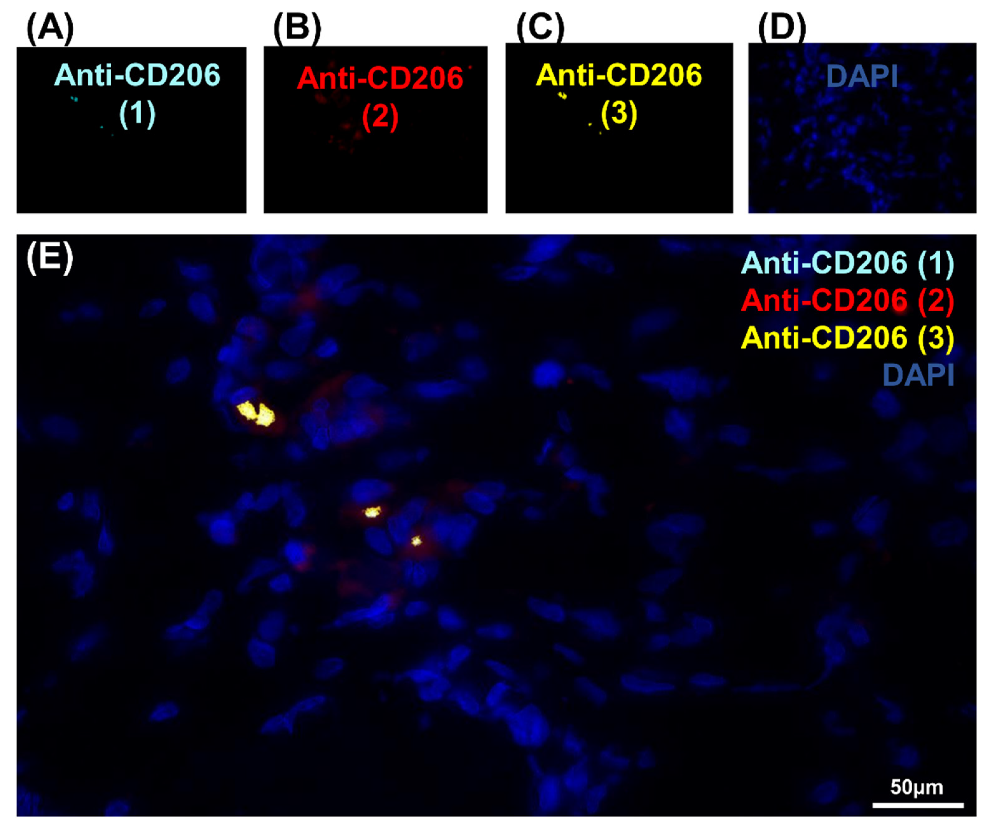 Genes 12 00649 g002 Genes 12 00649 g002