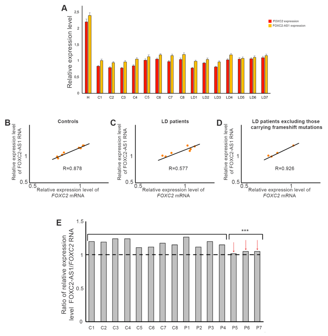 Genes 12 00650 g002