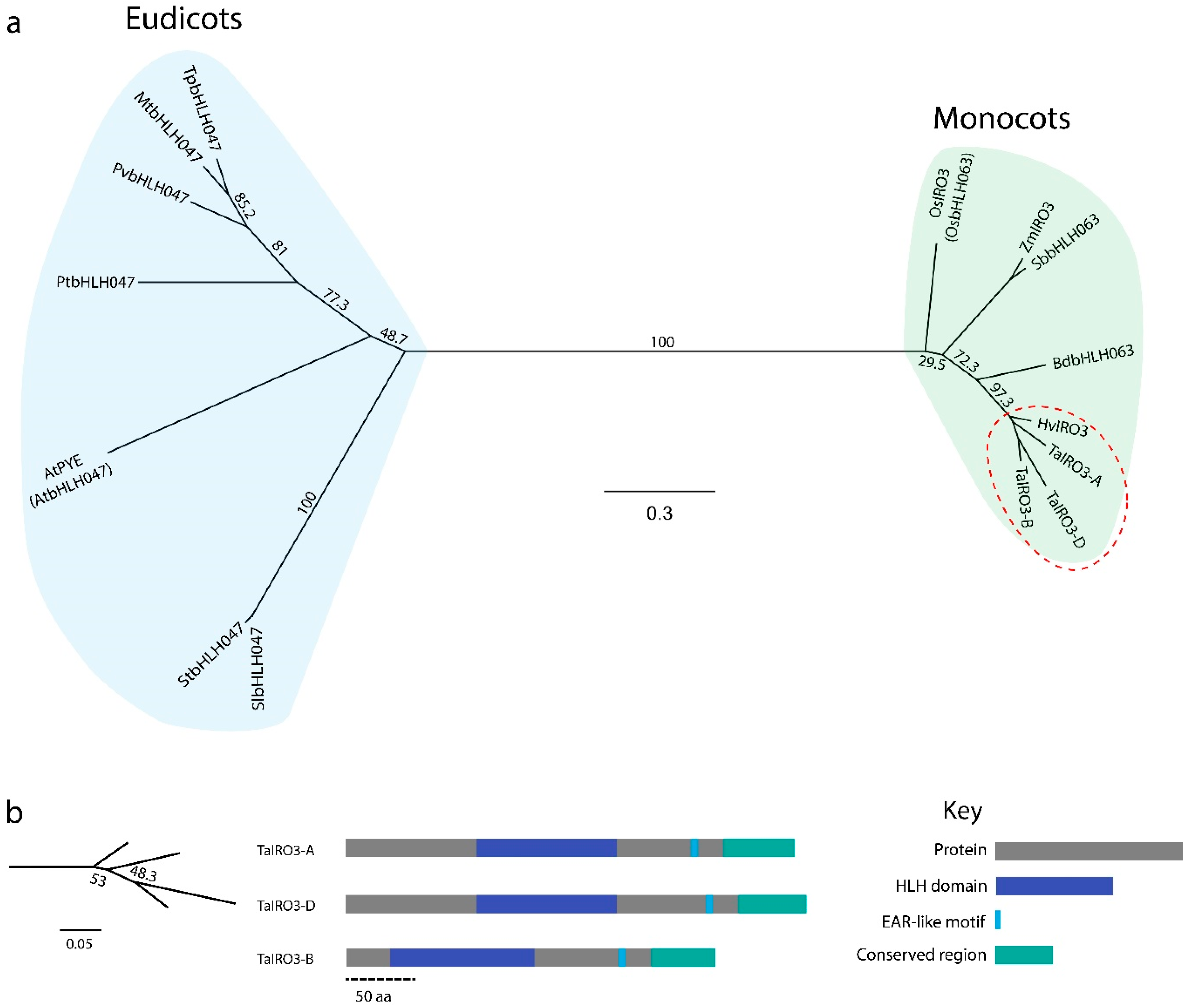 Genes 12 00653 g003 Genes 12 00653 g003