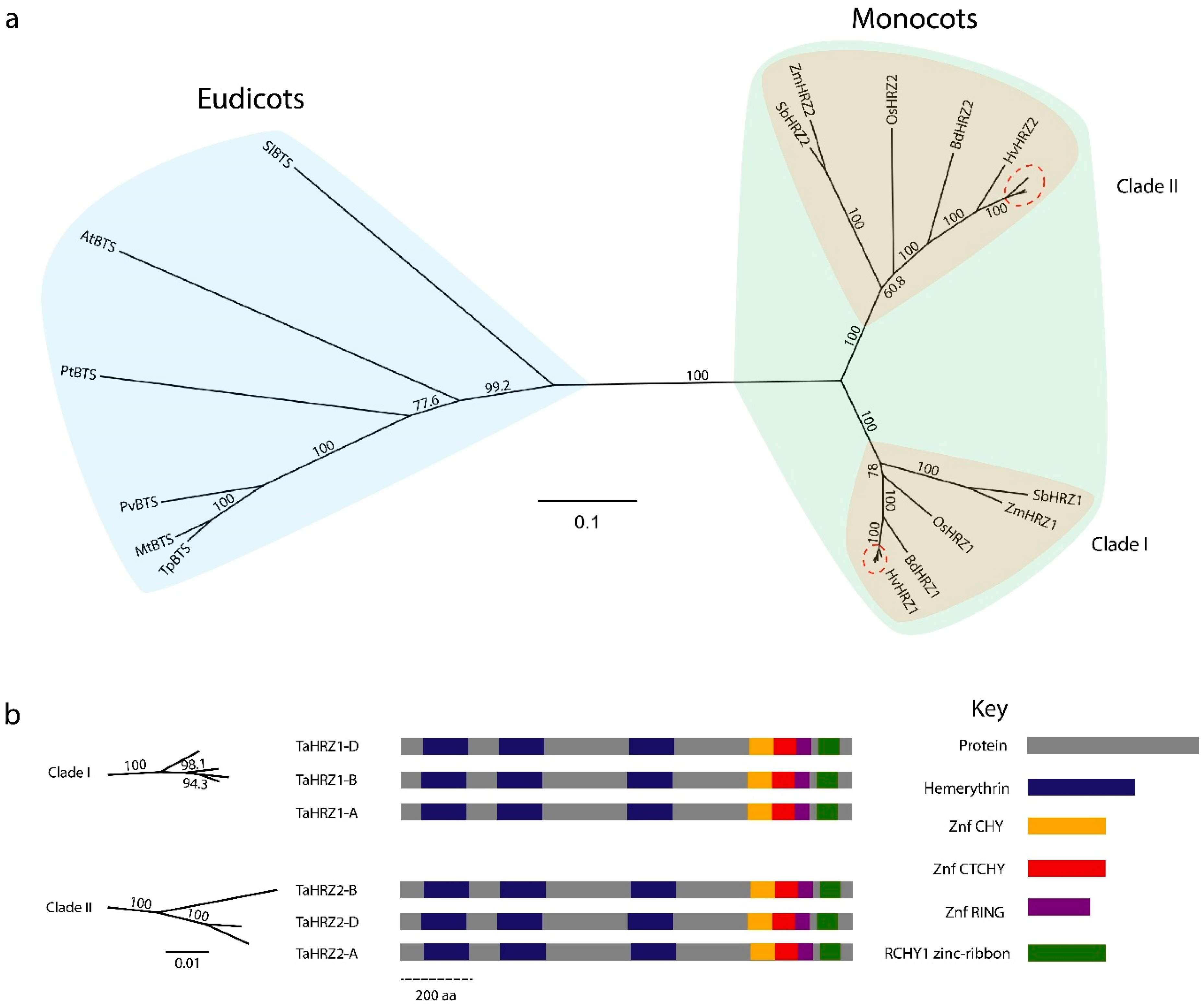Genes 12 00653 g004 Genes 12 00653 g004