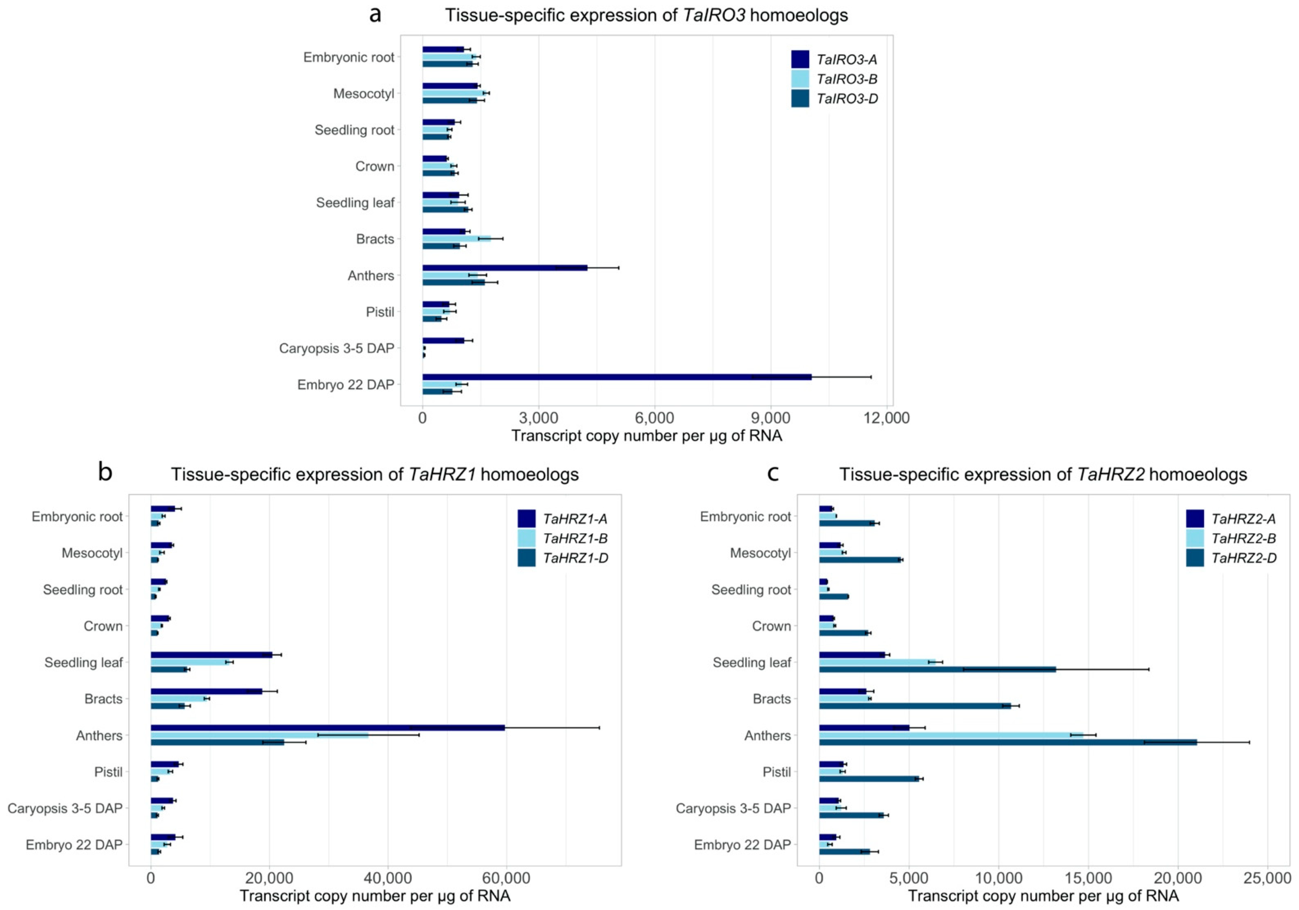 Genes 12 00653 g005 Genes 12 00653 g005