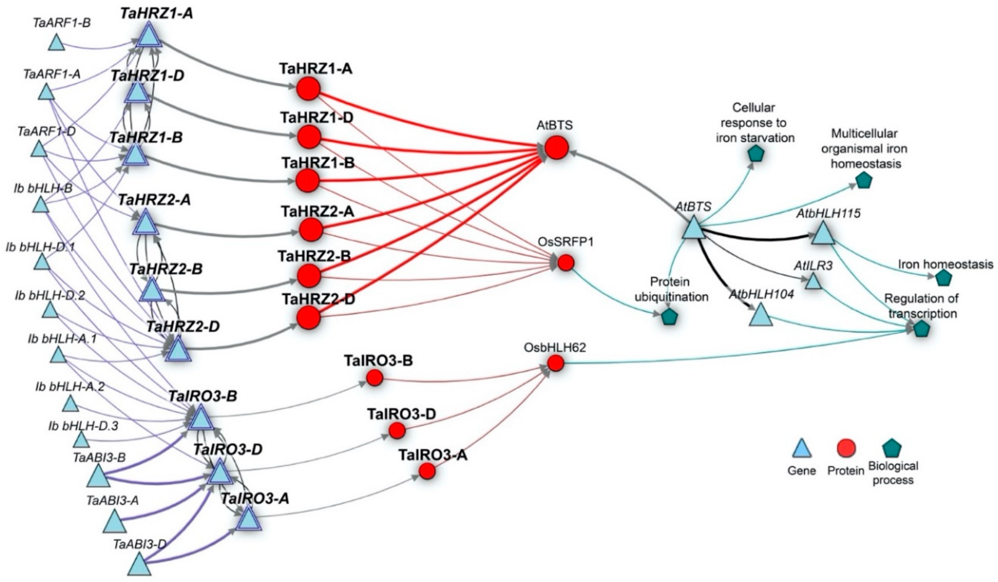 Genes 12 00653 g007 Genes 12 00653 g007