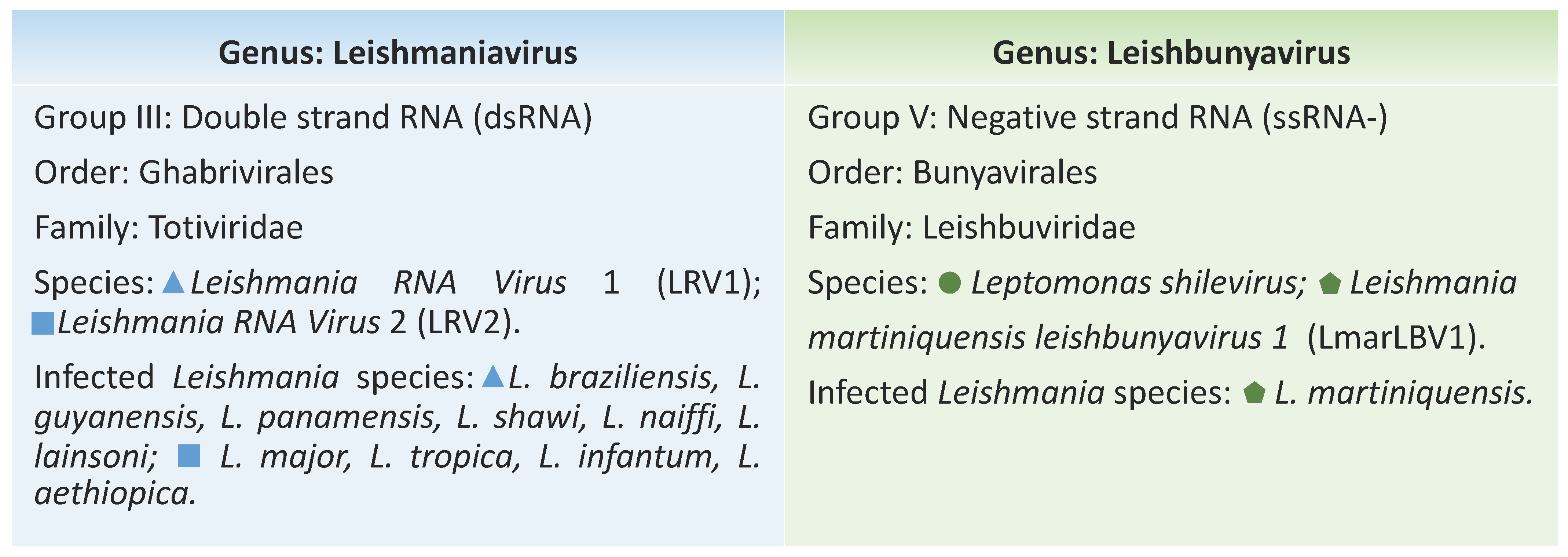 Genes Free Full Text The Maze Pathway Of Coevolution A Critical Review Over The Leishmania And Its Endosymbiotic History Html