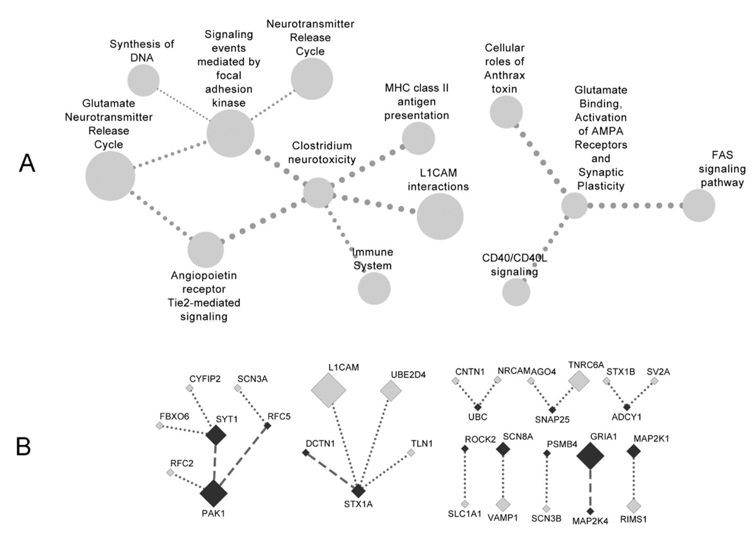Genes 12 00665 g004 Genes 12 00665 g004